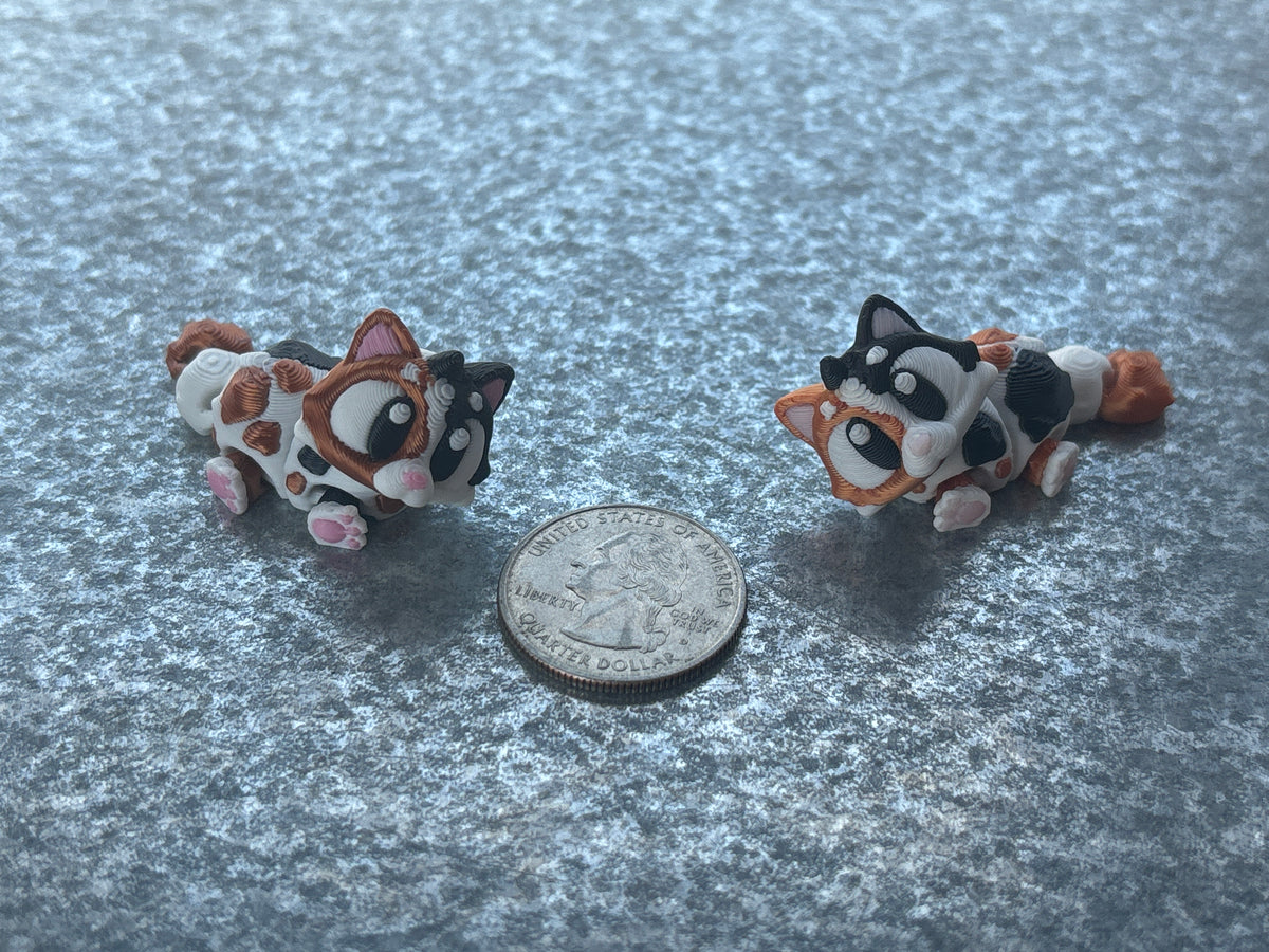 Cat - Calico