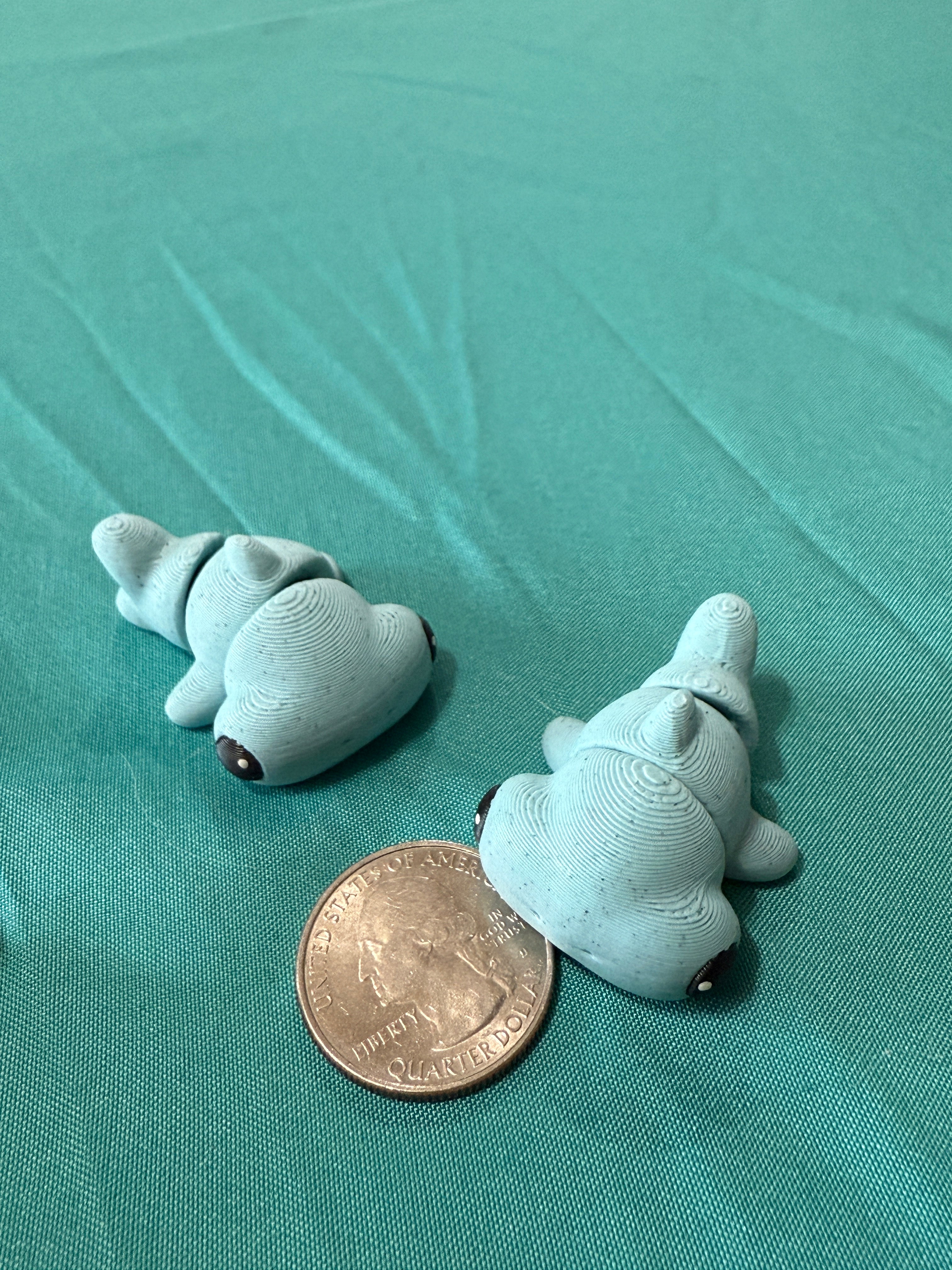 Hammerhead Shark