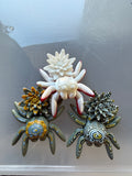 Water Lily Spiders