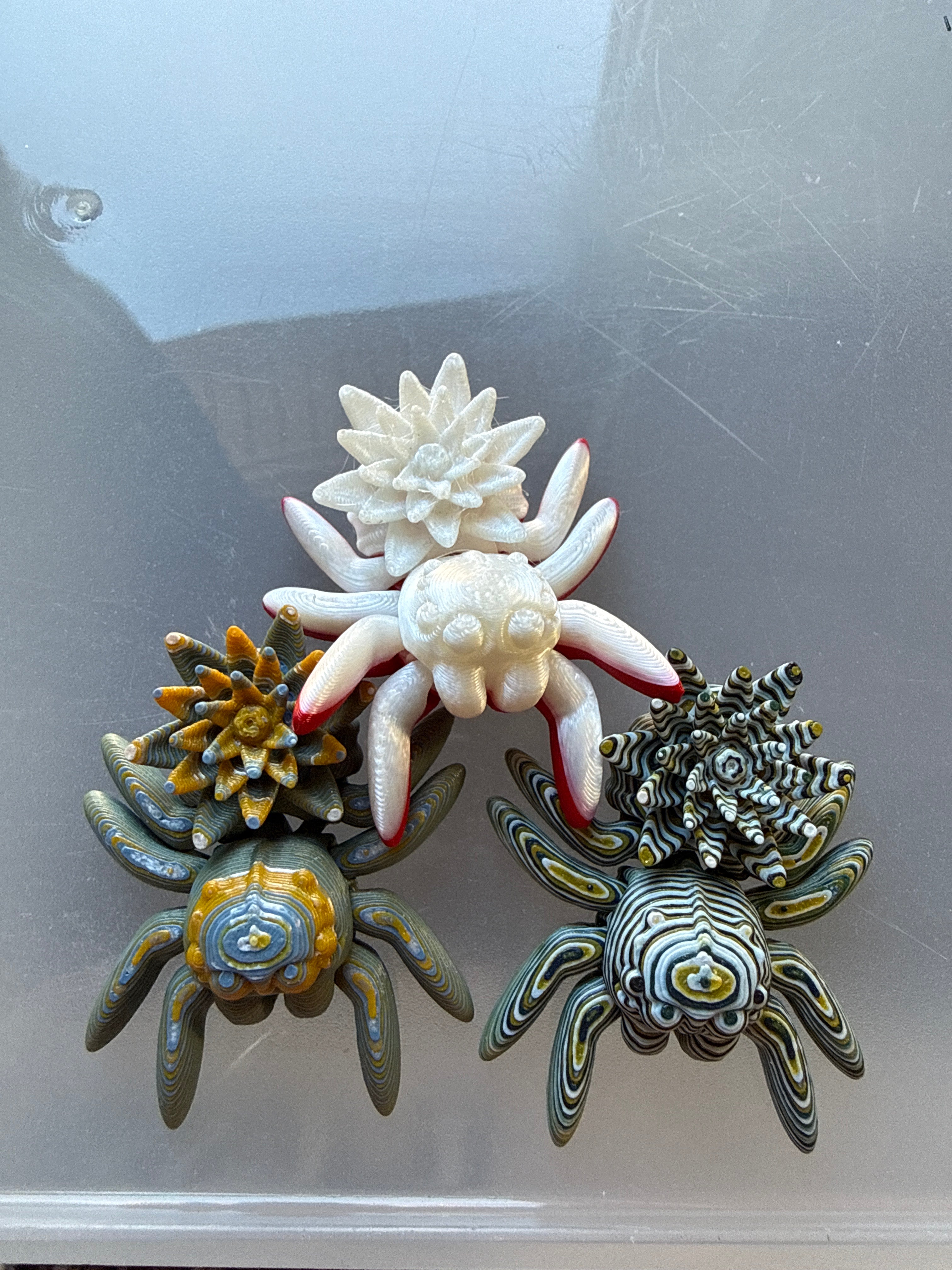 Water Lily Spiders