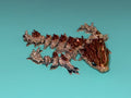 Jellyfish Dragon