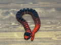 Slinky Snake - Eileen