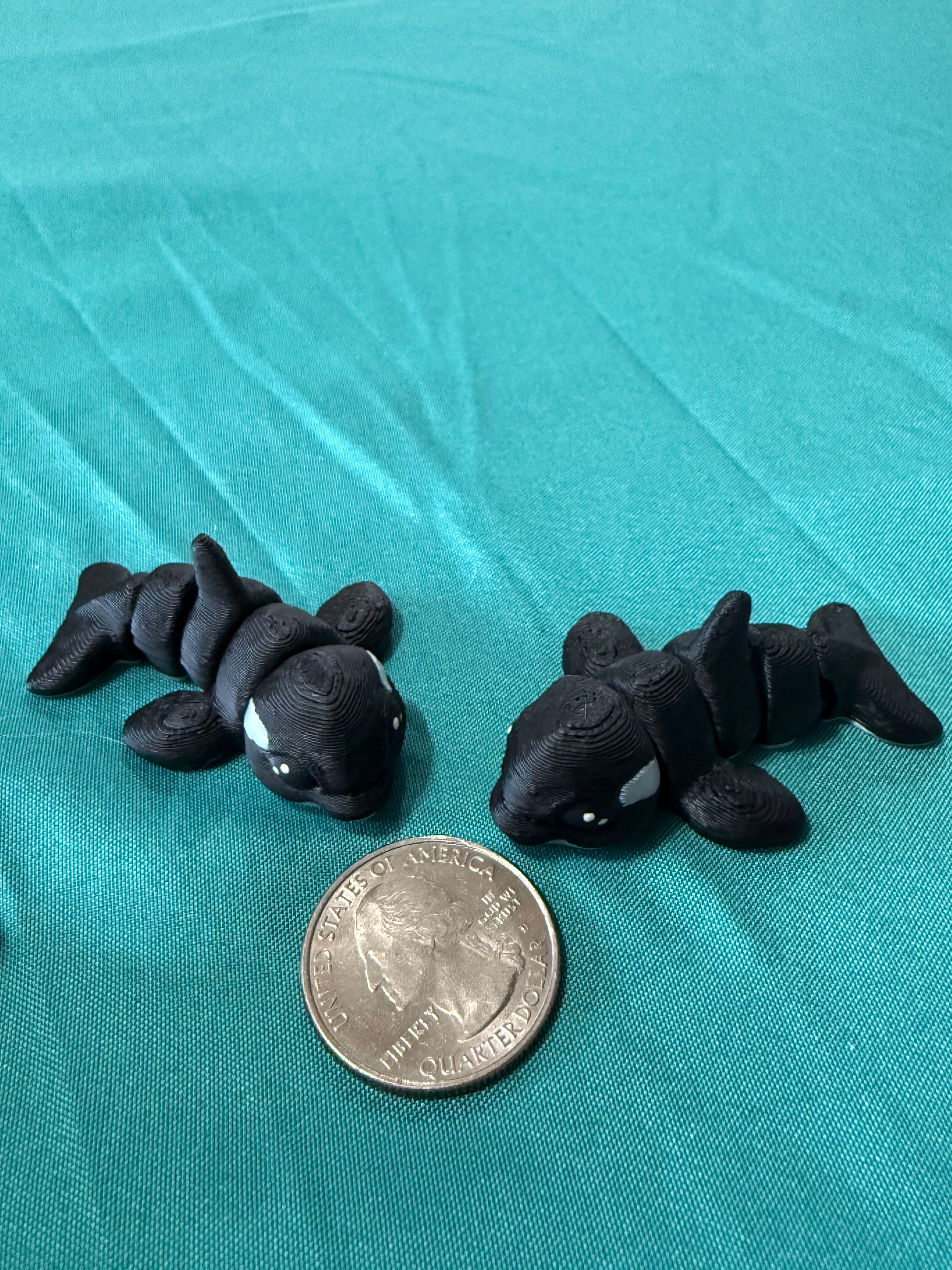 Orca