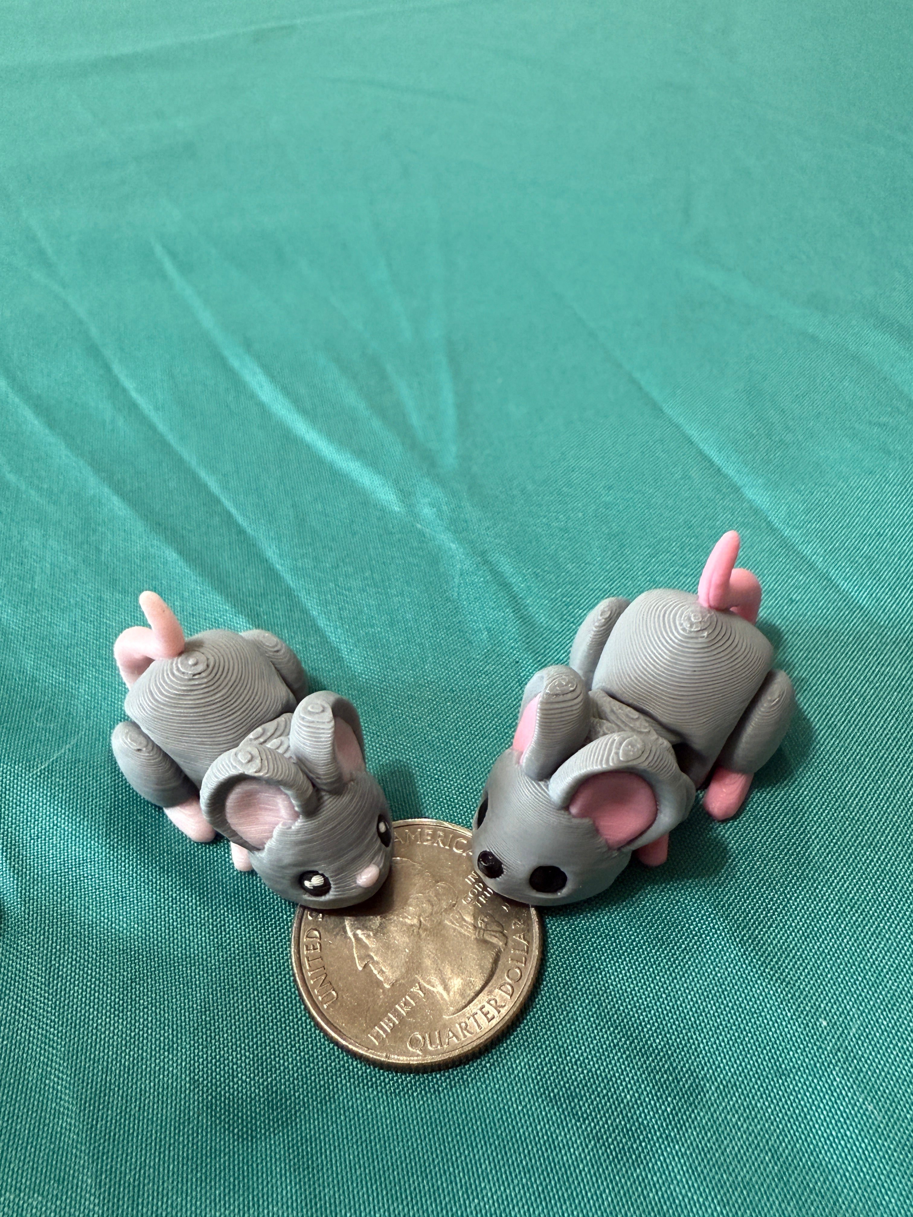 Mouse