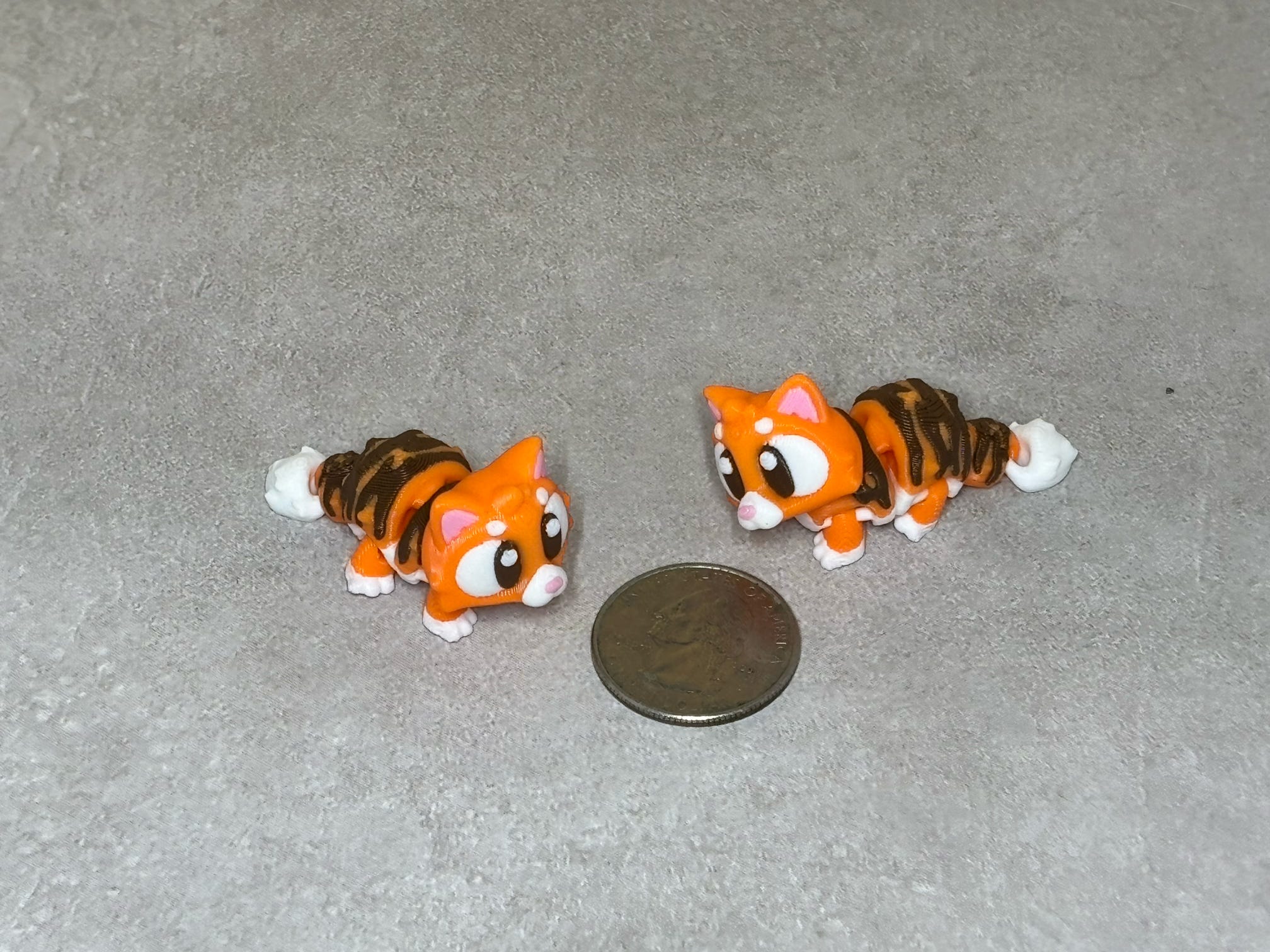 Cat - Tiger Stripes