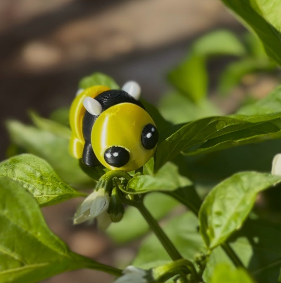 Bee will be discontinued when Sold Out