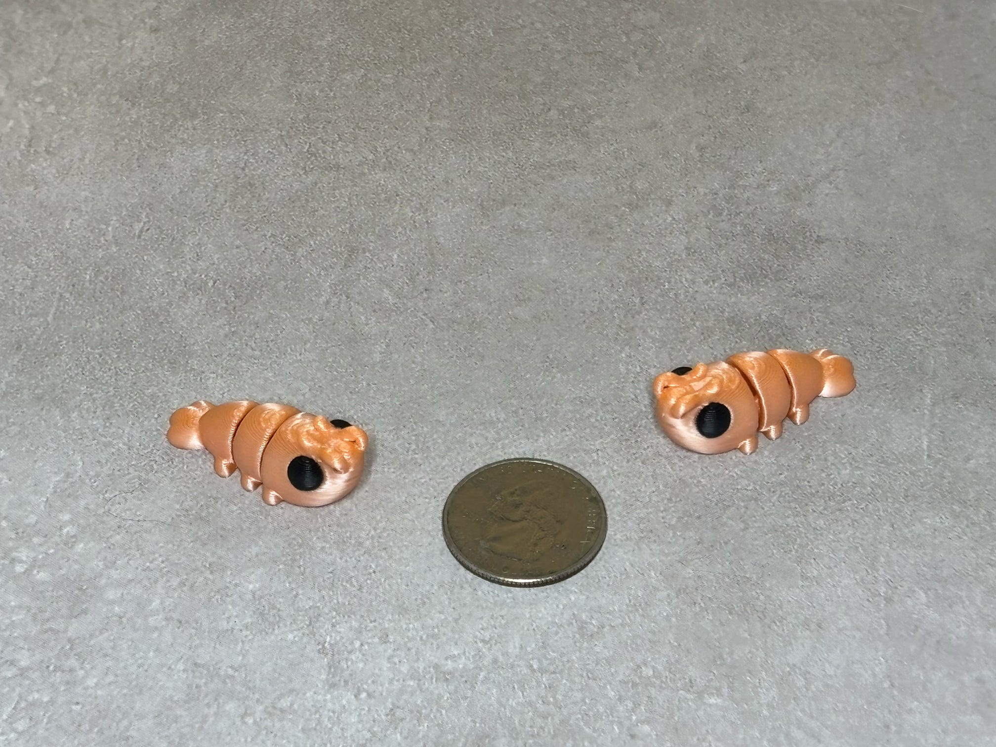 Shrimp