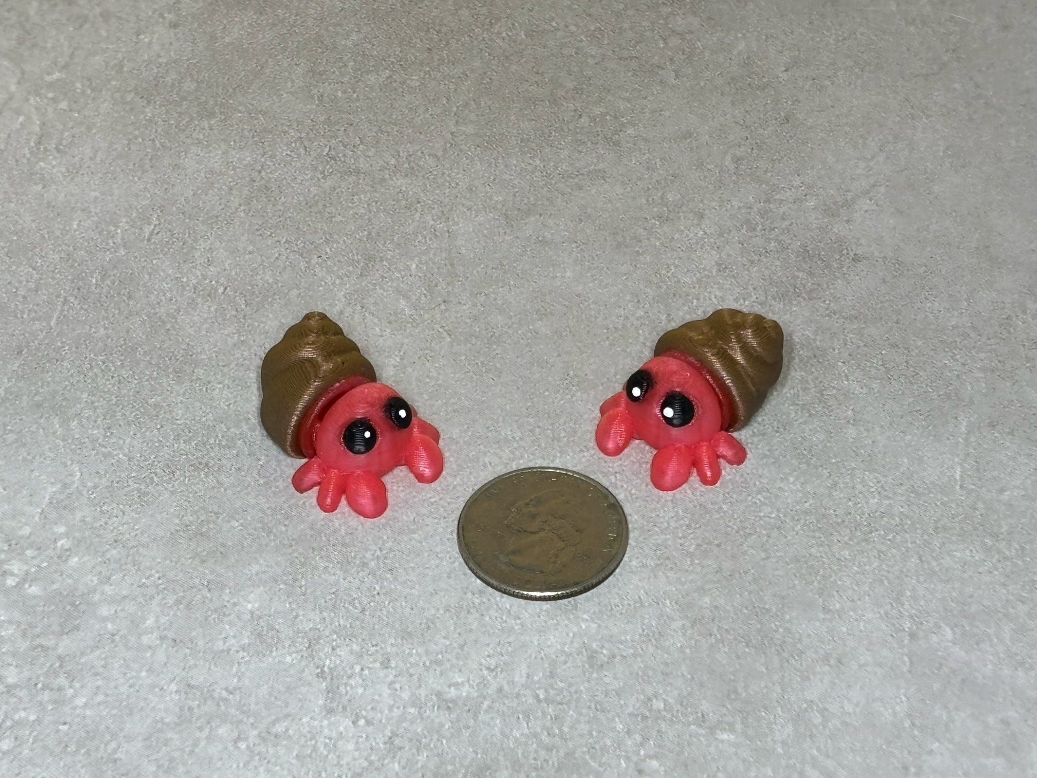 Hermit Crab