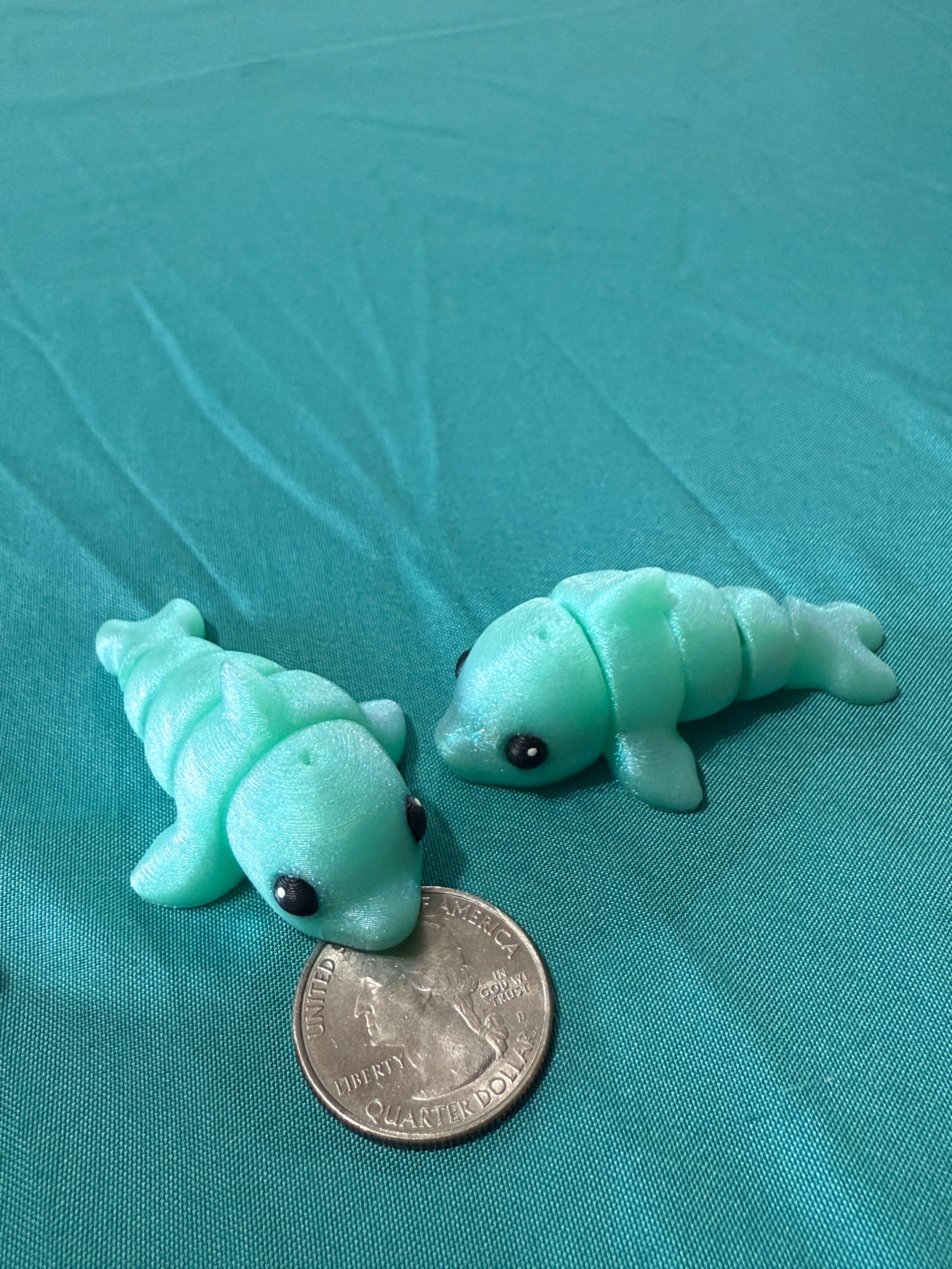 Dolphin