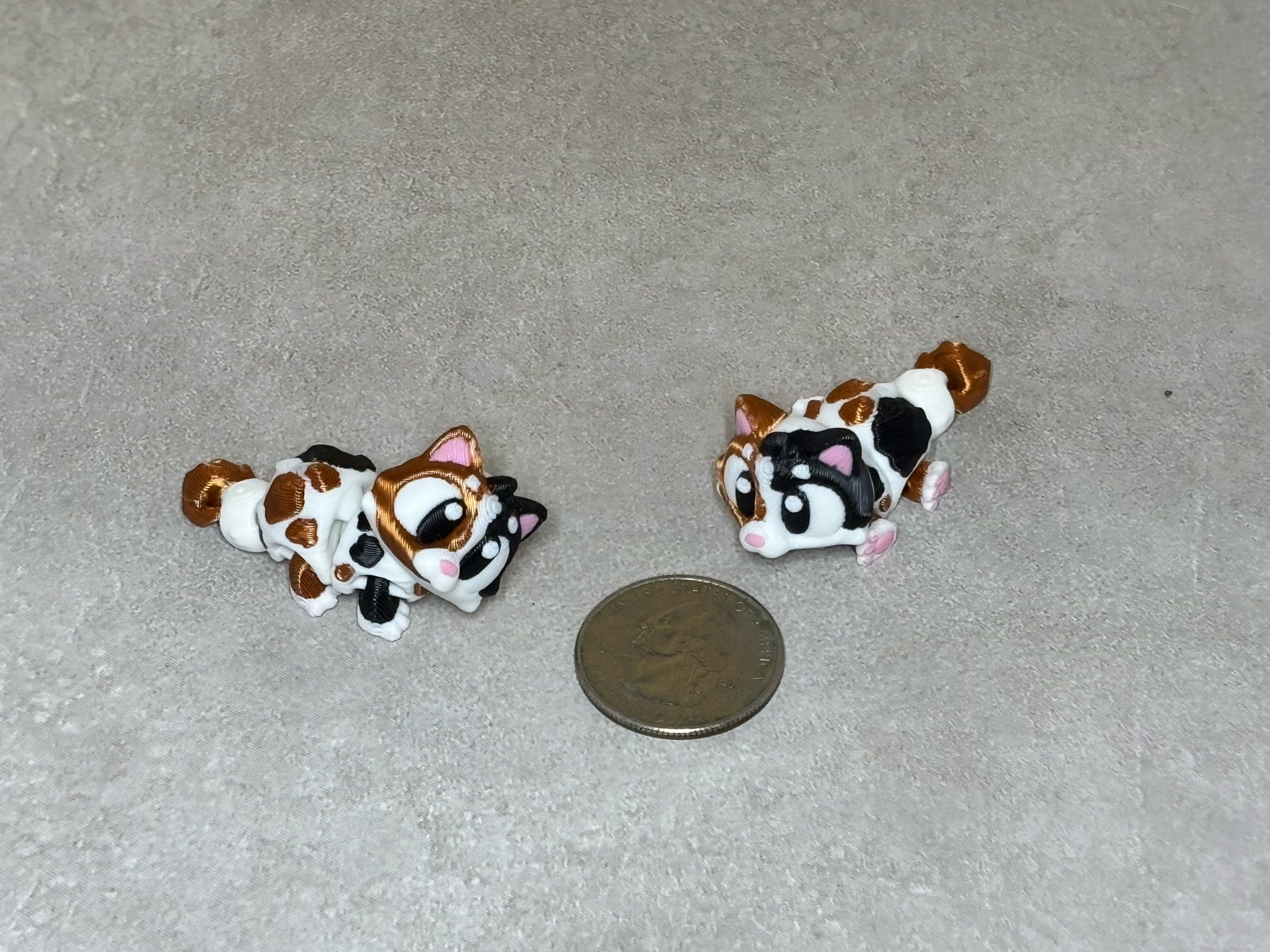 Cat - Calico