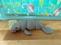 Adopt A Manatee