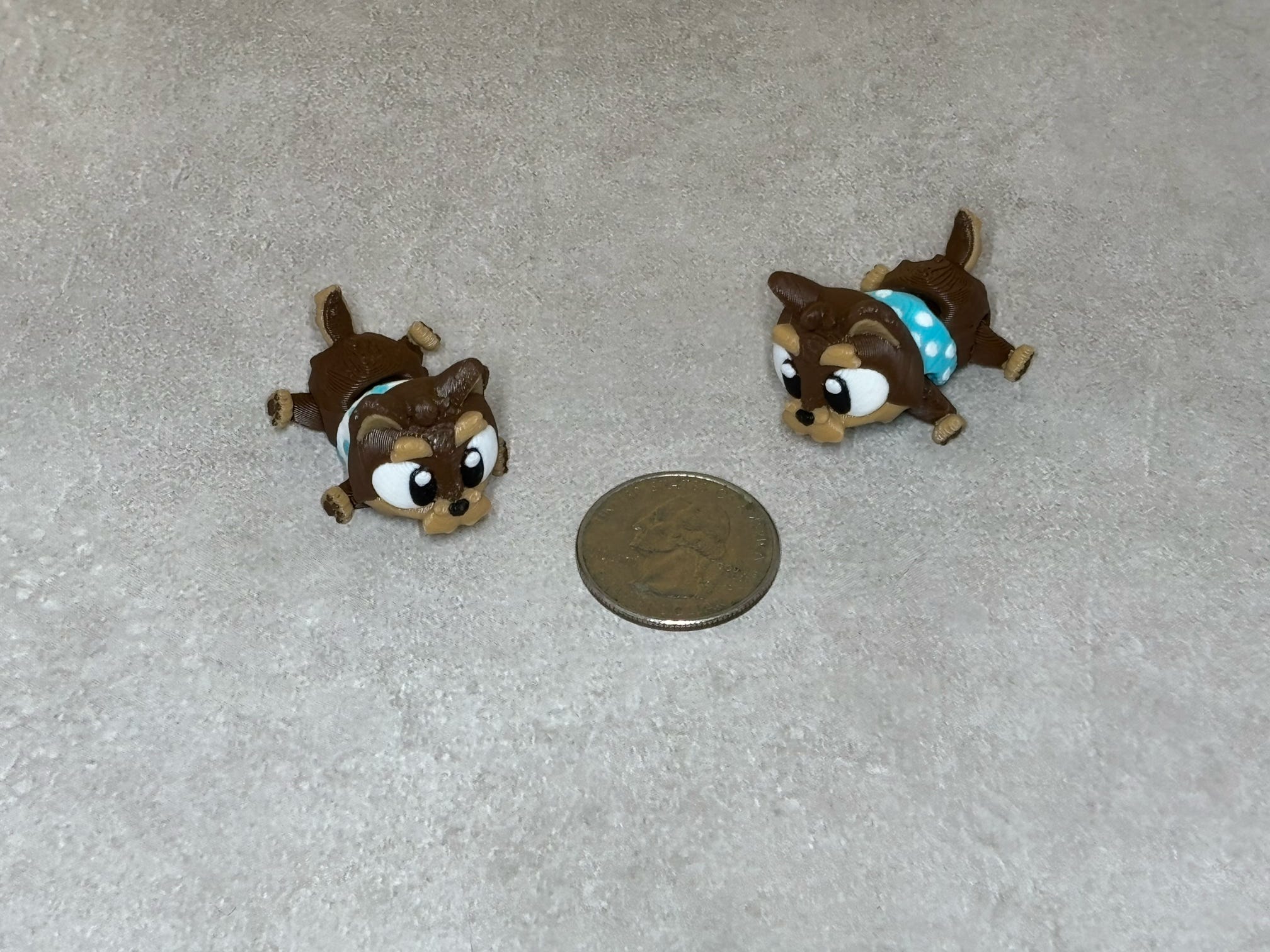 Dog - Yorkie