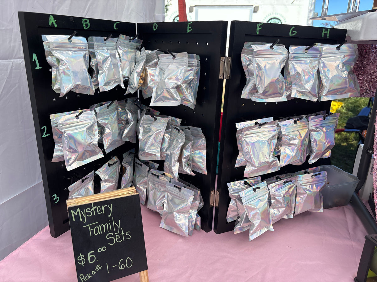 Mystery Family Bag