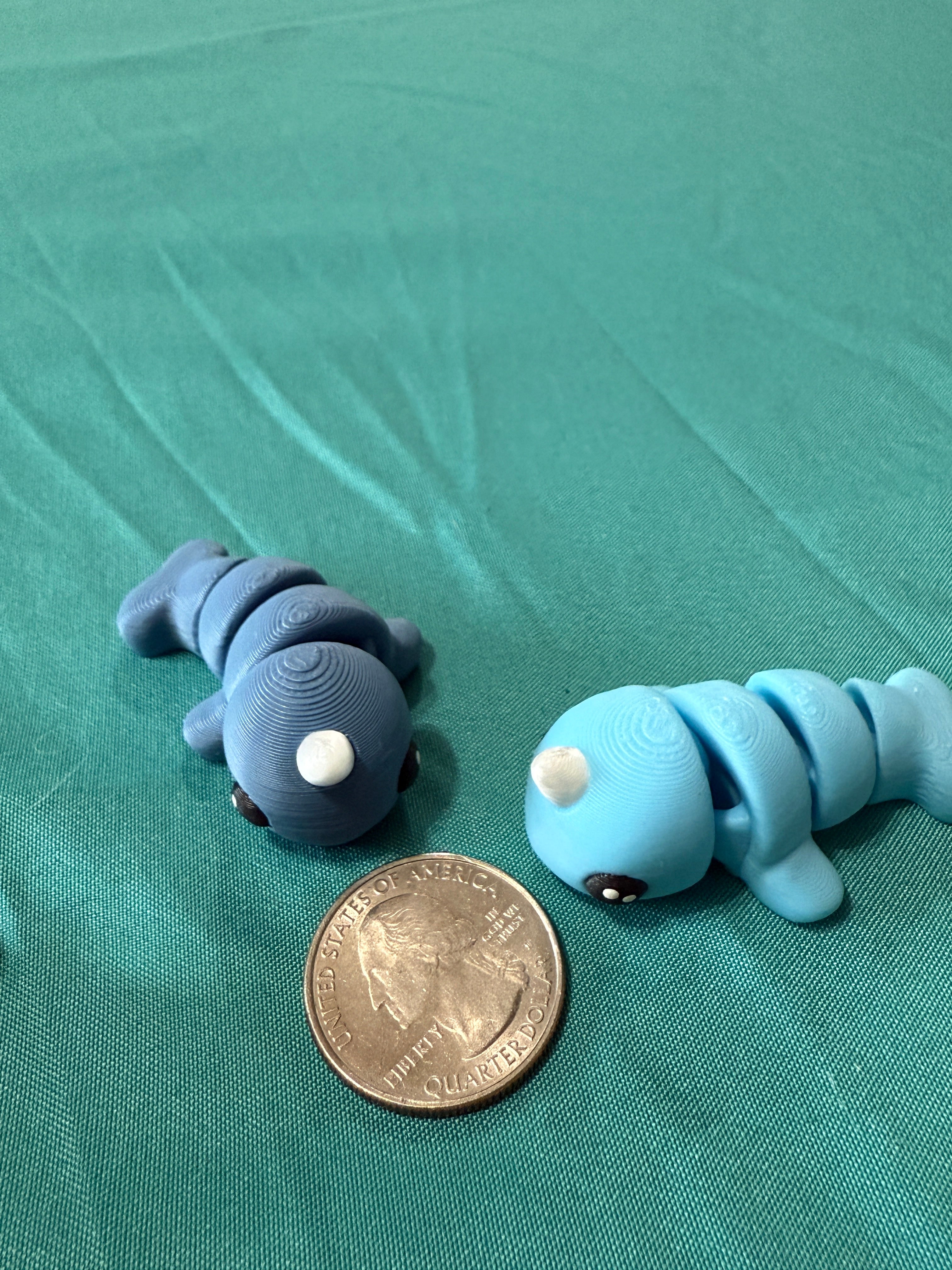 Narwhal