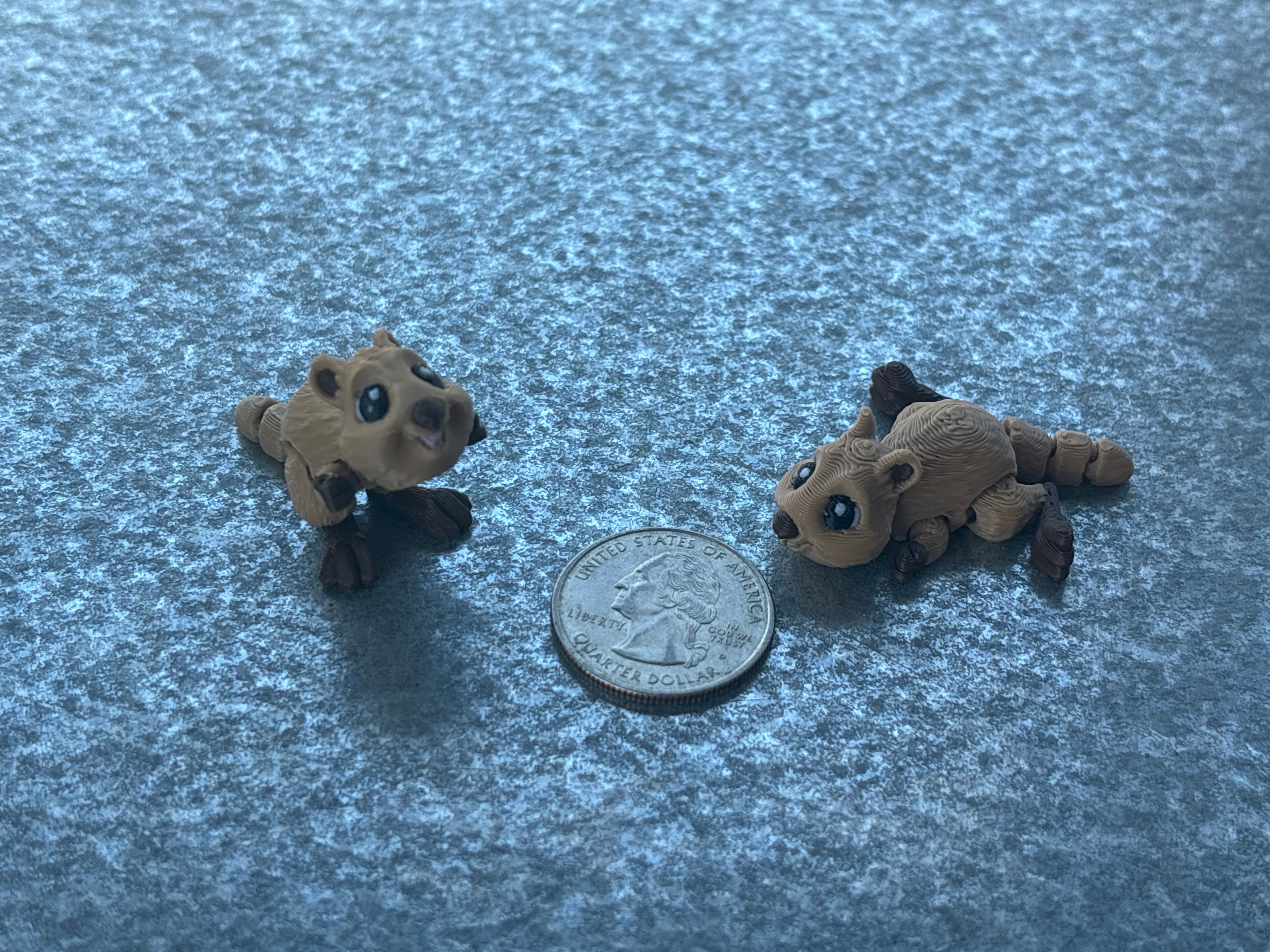 Quokka