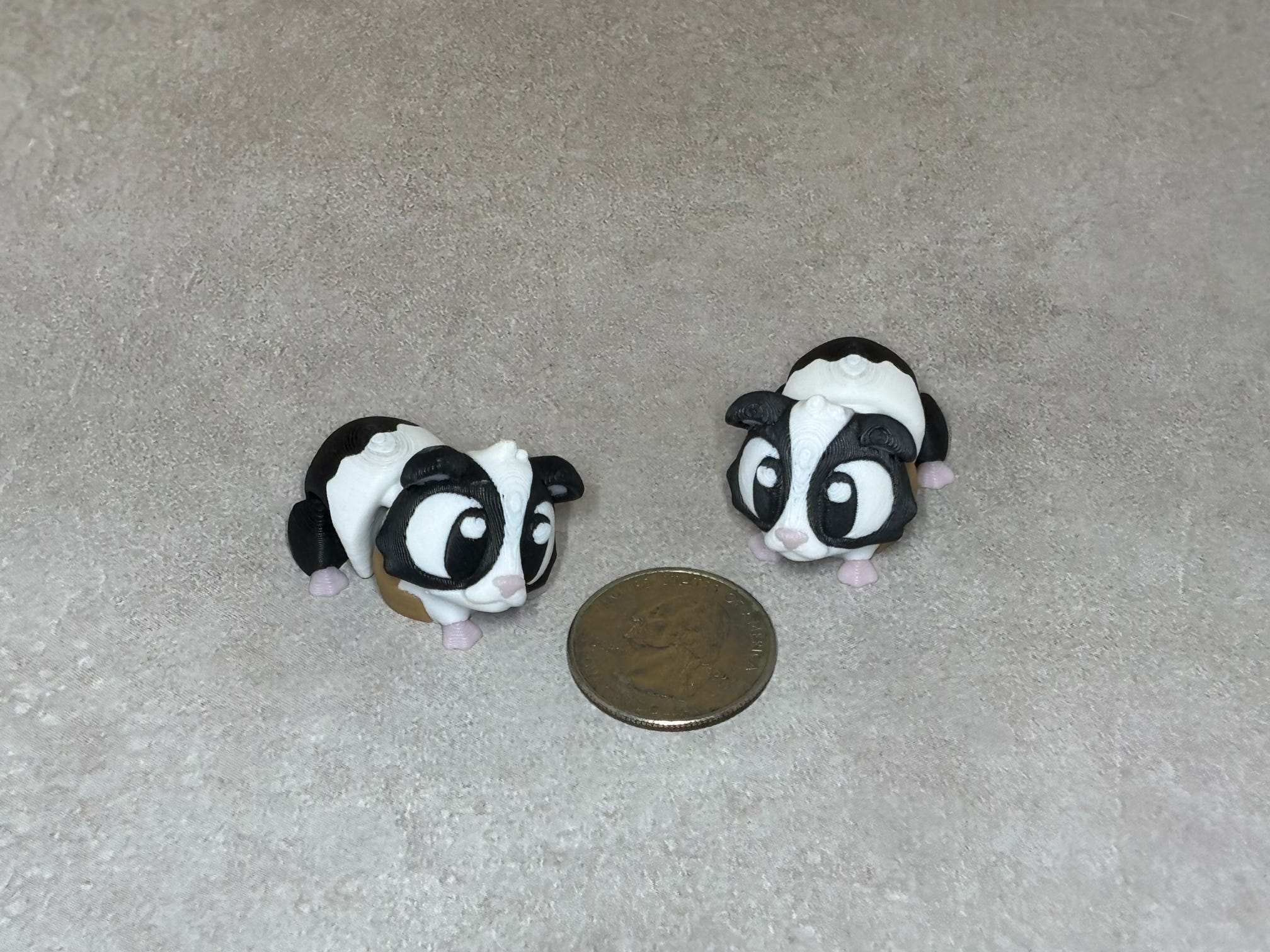 Guinea Pig