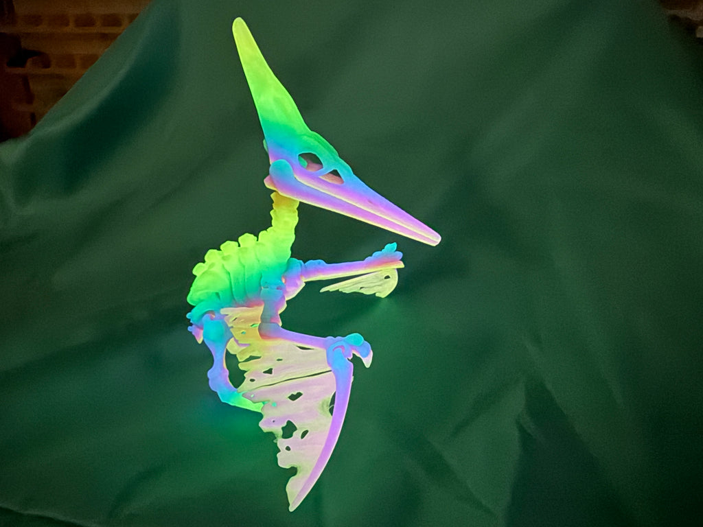 Glow In the Dark - Pteranodon