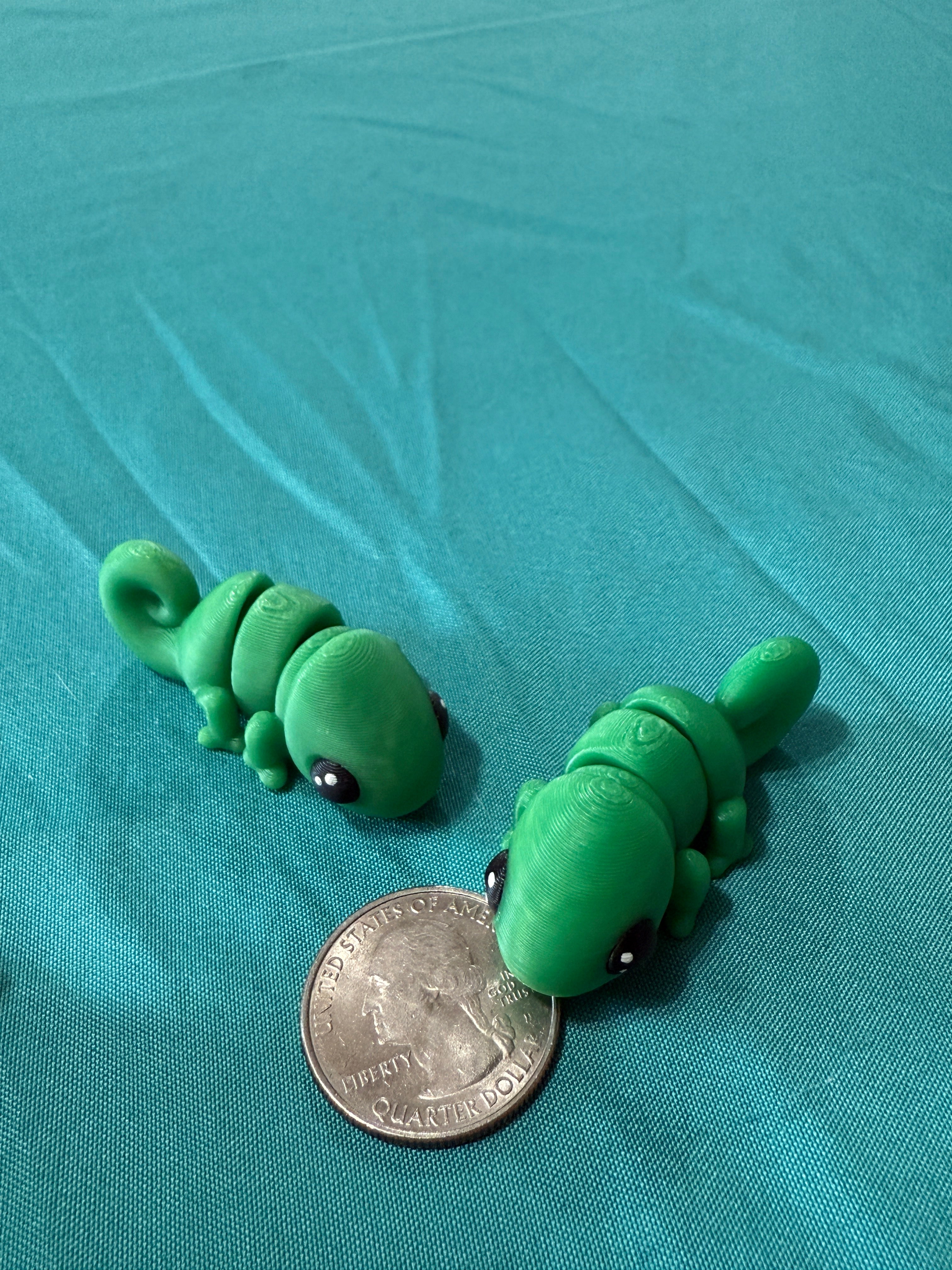 Chameleon - ColorChanging