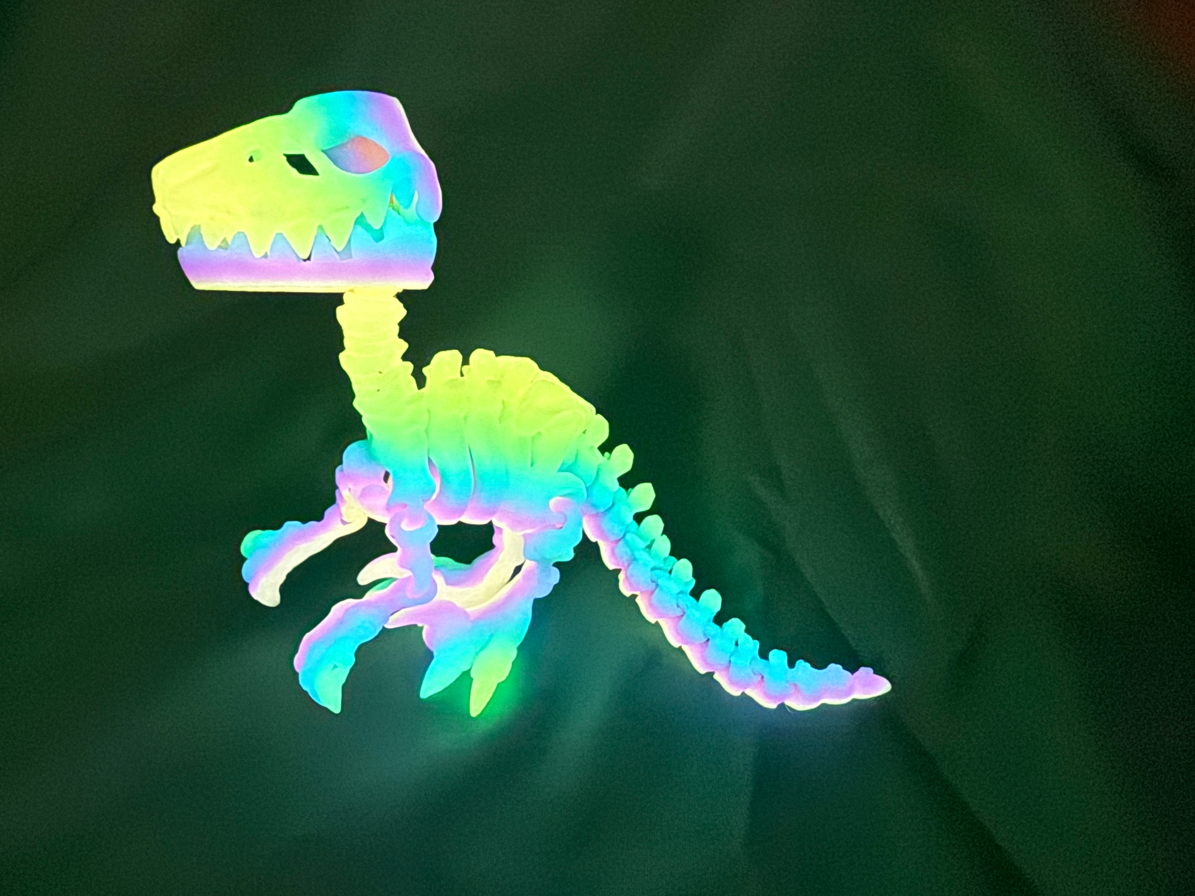 Glow In the Dark - Raptor