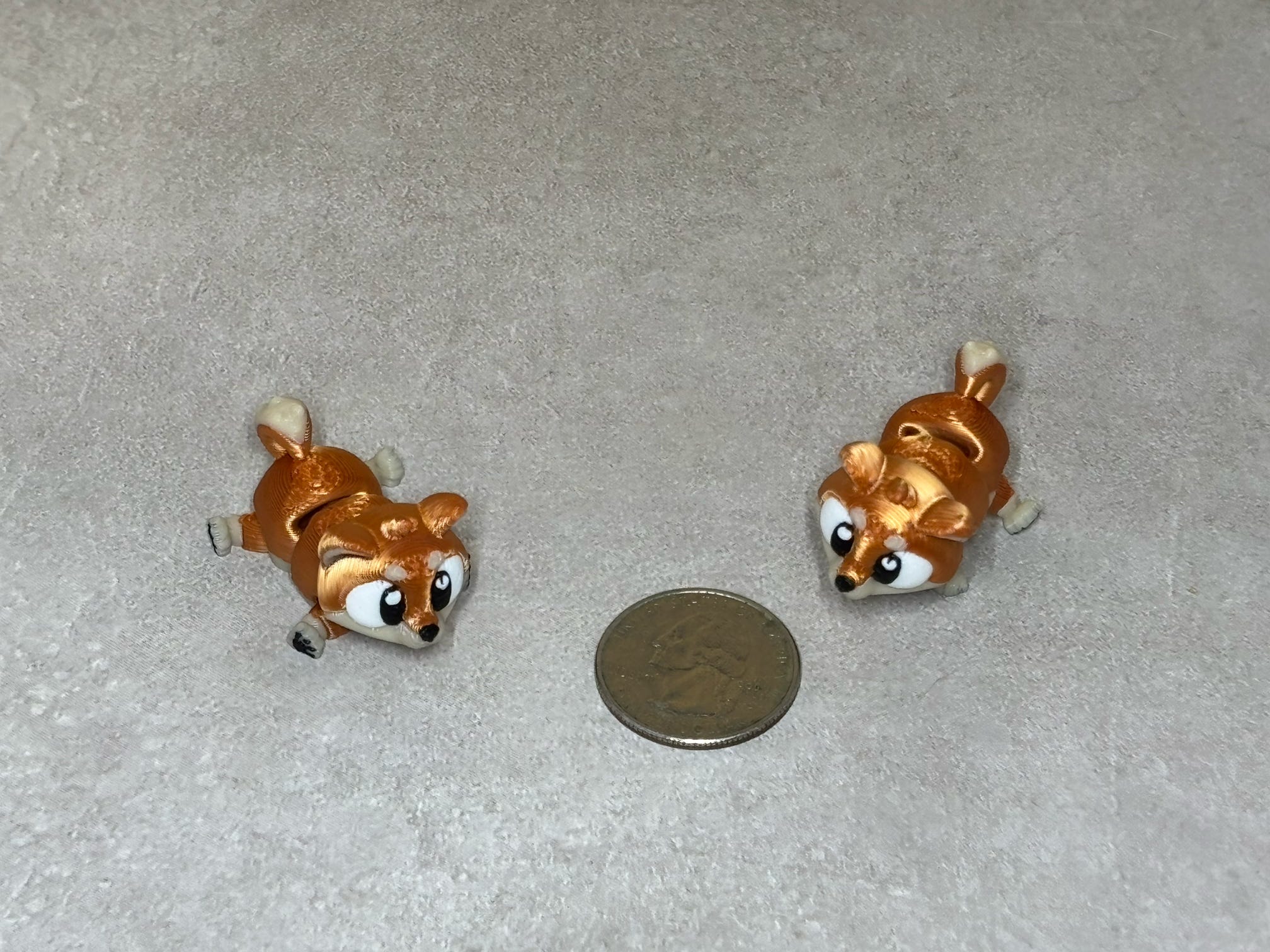 Dog - Shiba Inu