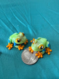 Tree Frog