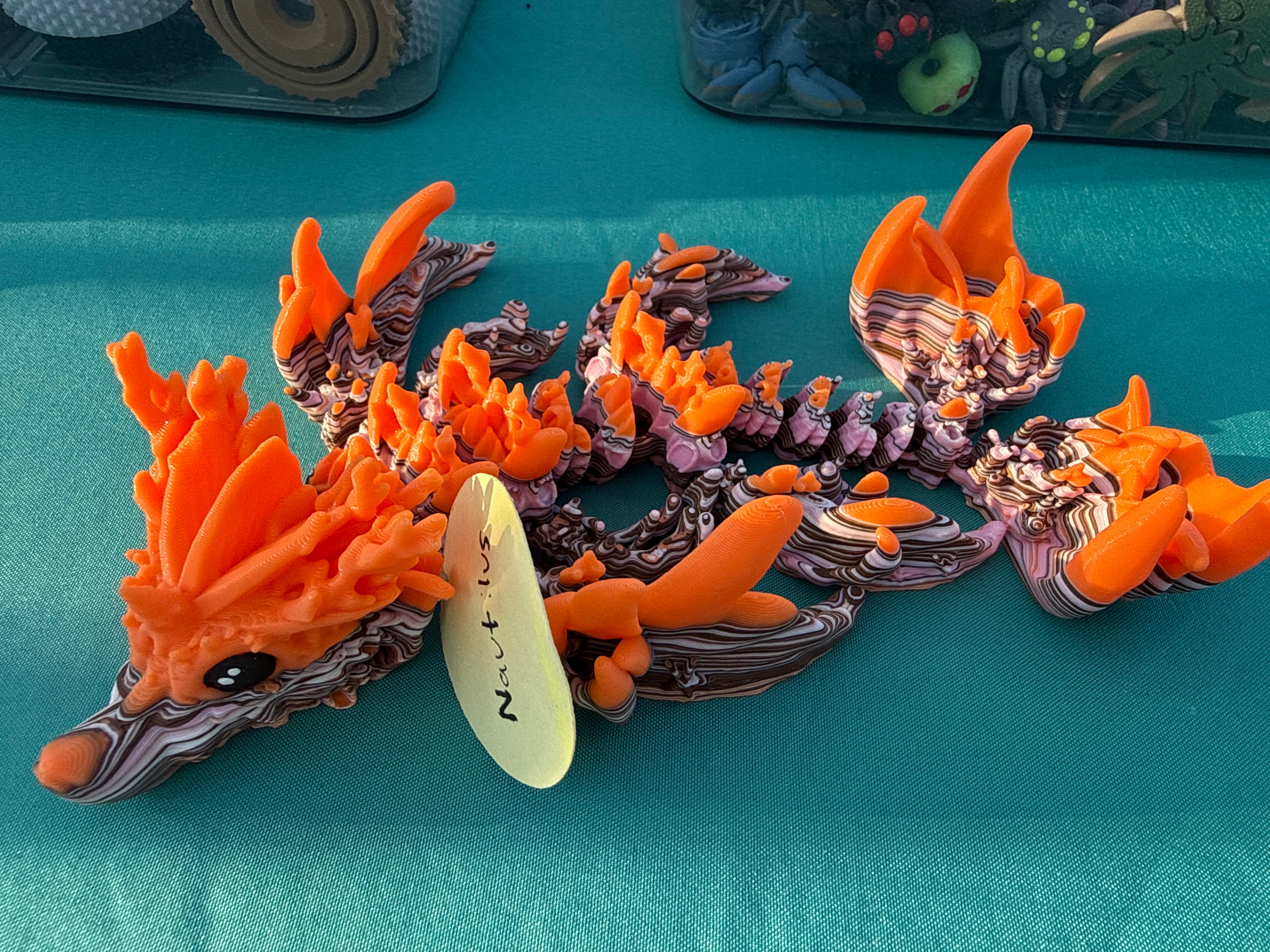 Jellyfish Dragon - Nautilus
