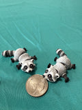 Raccoon