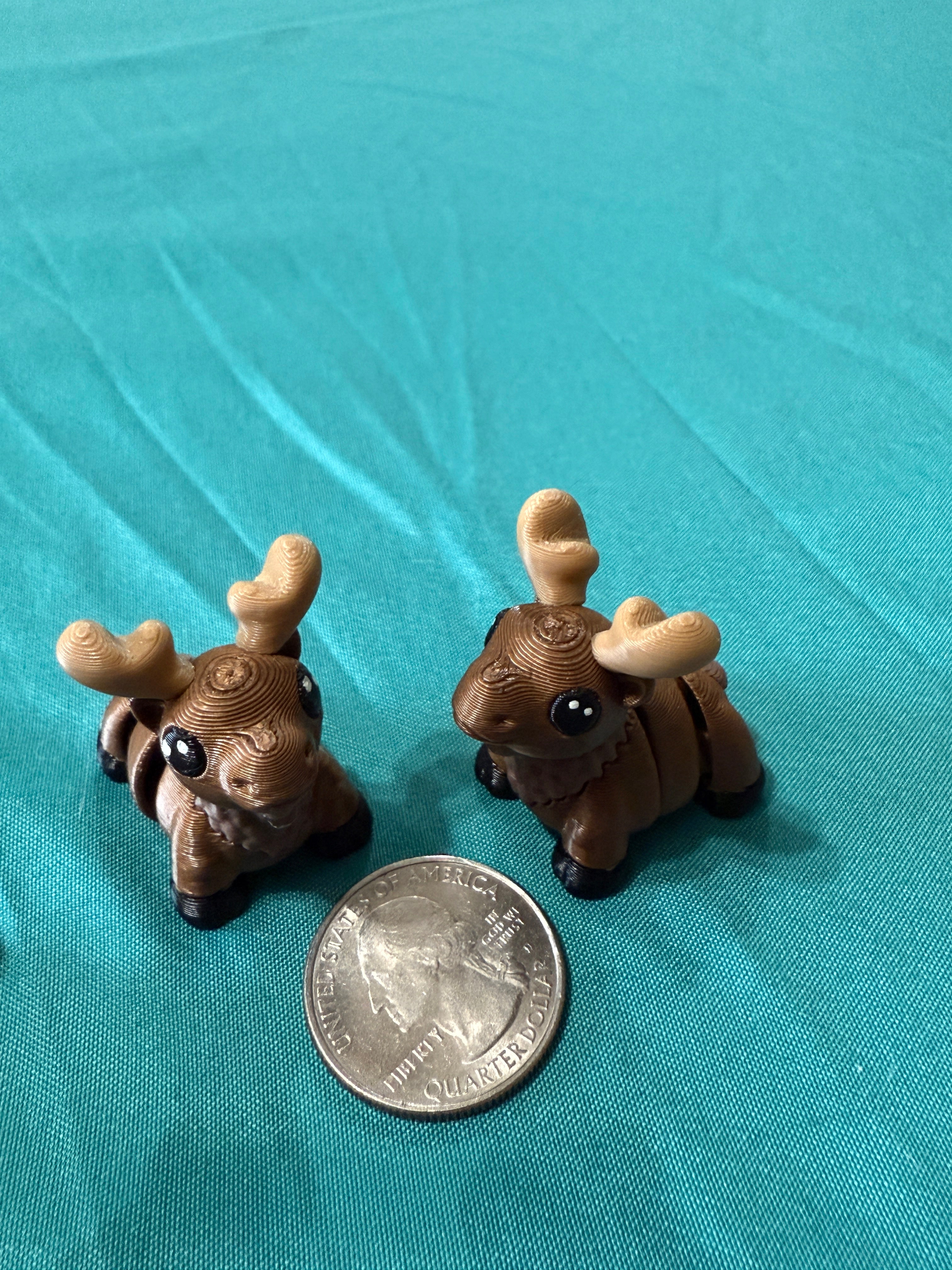 Moose
