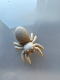 Egg Spider
