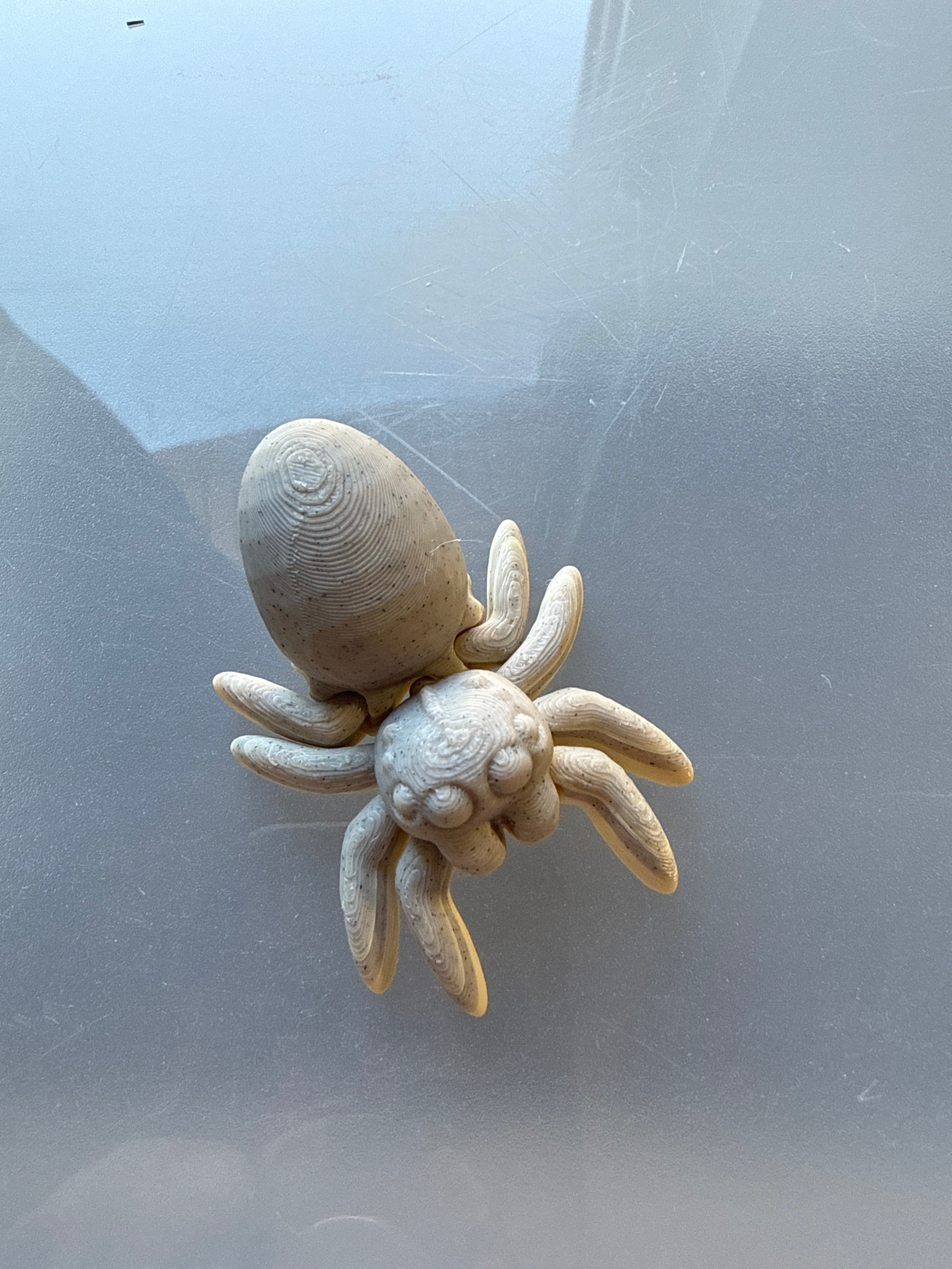 Egg Spider