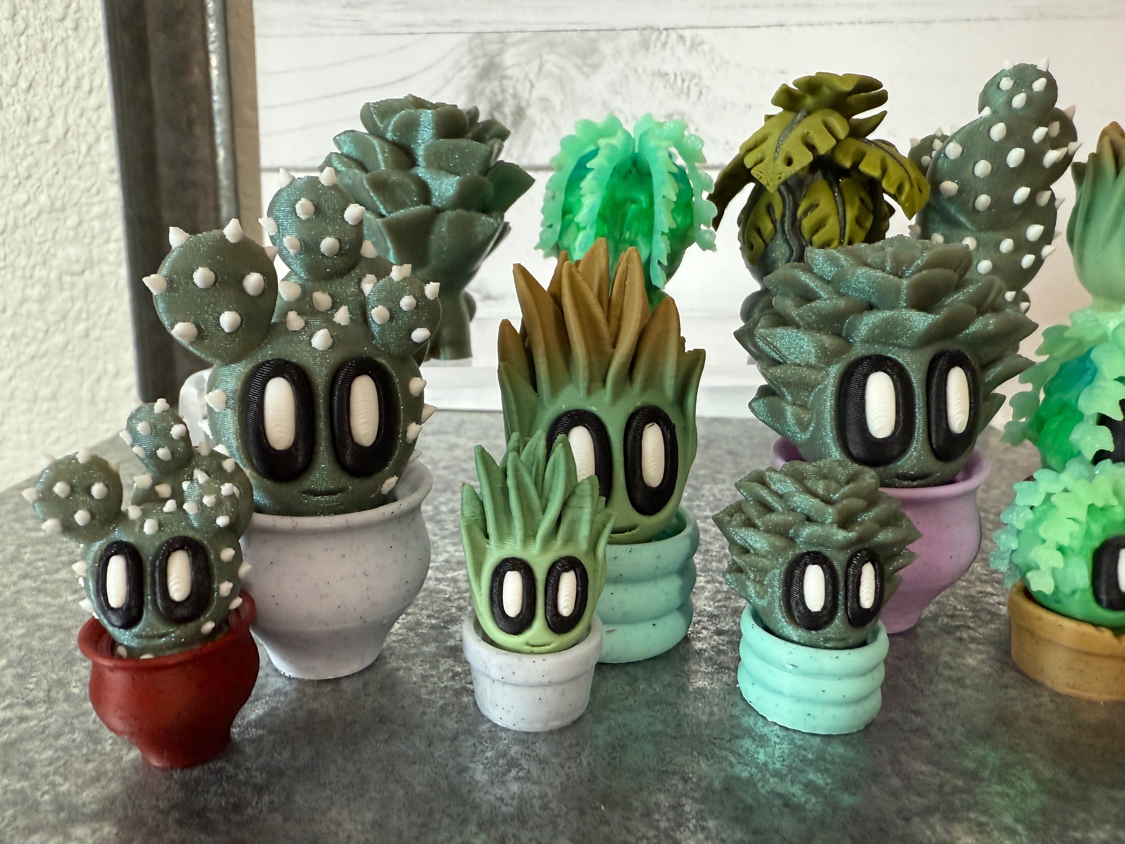 Succulent MINI Flight (bunners too!)