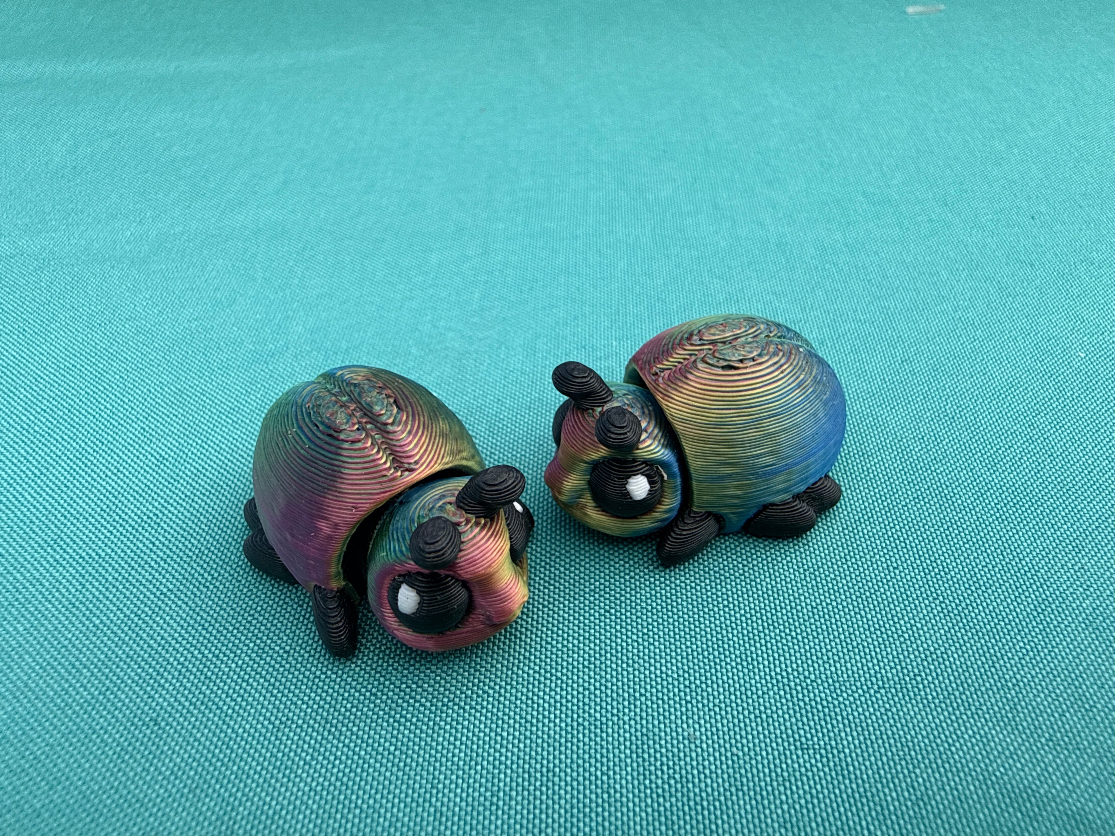 Beetle