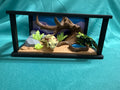 Reptile Terrarium