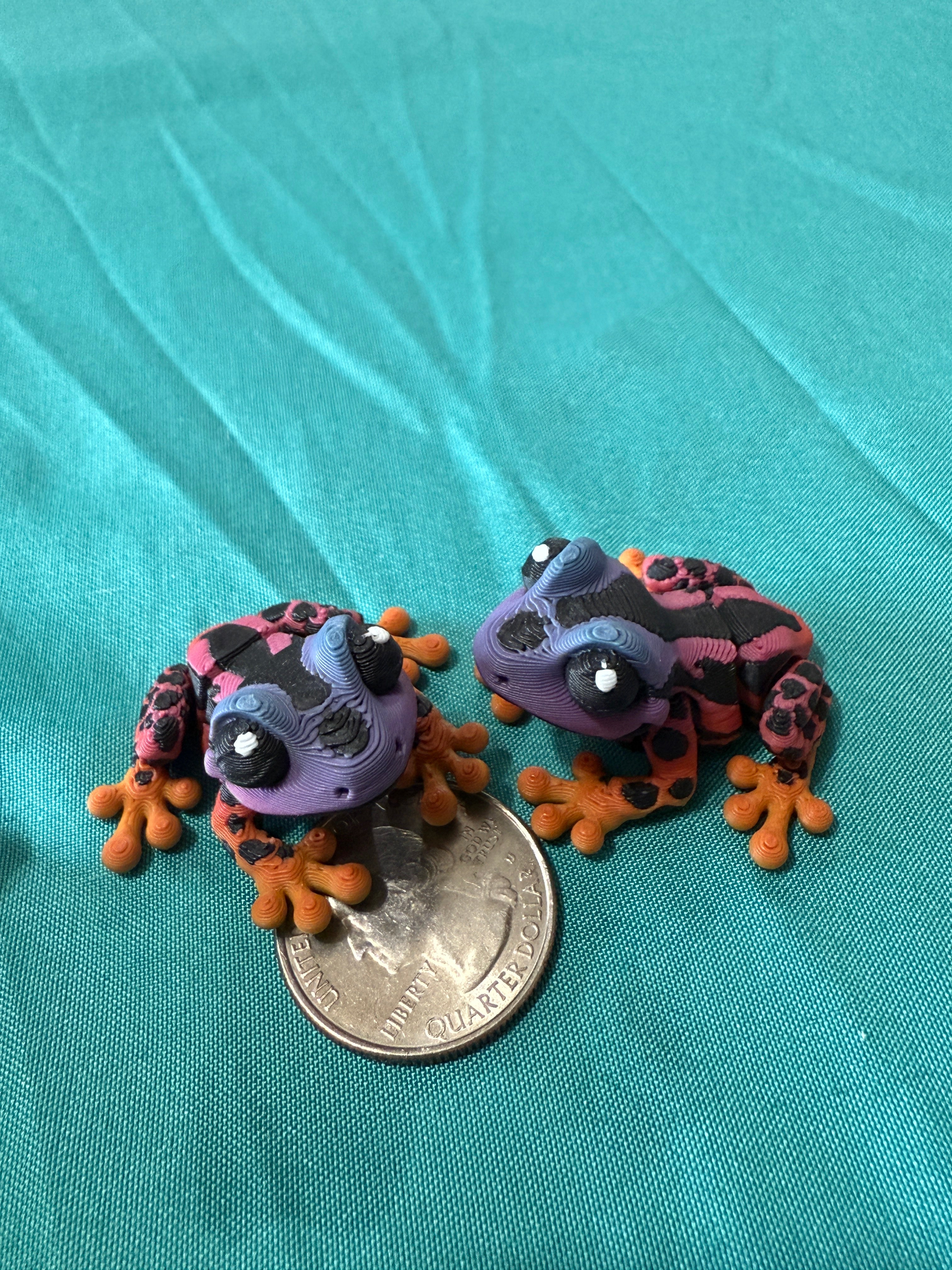 Dart Frog