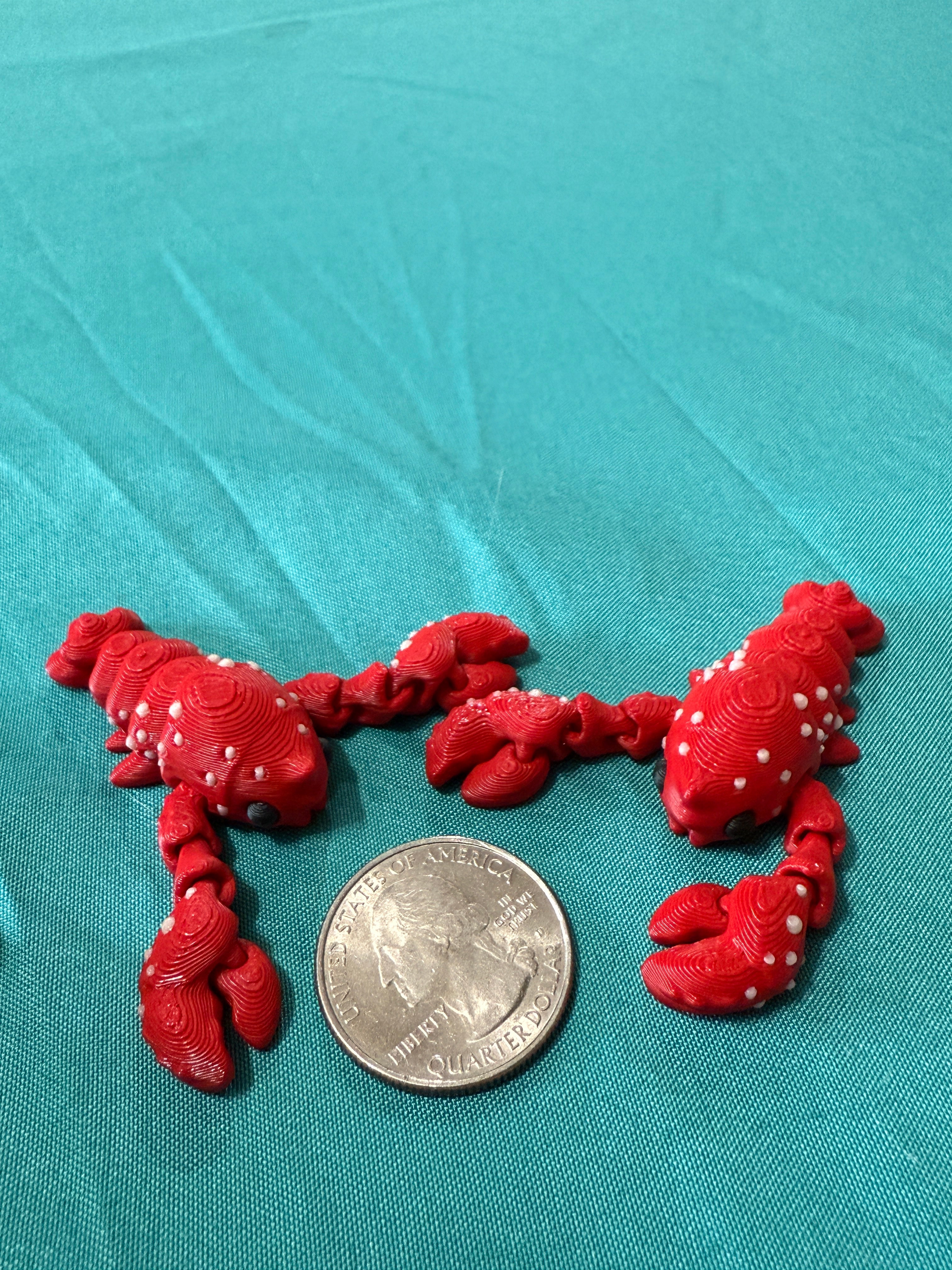 Lobster