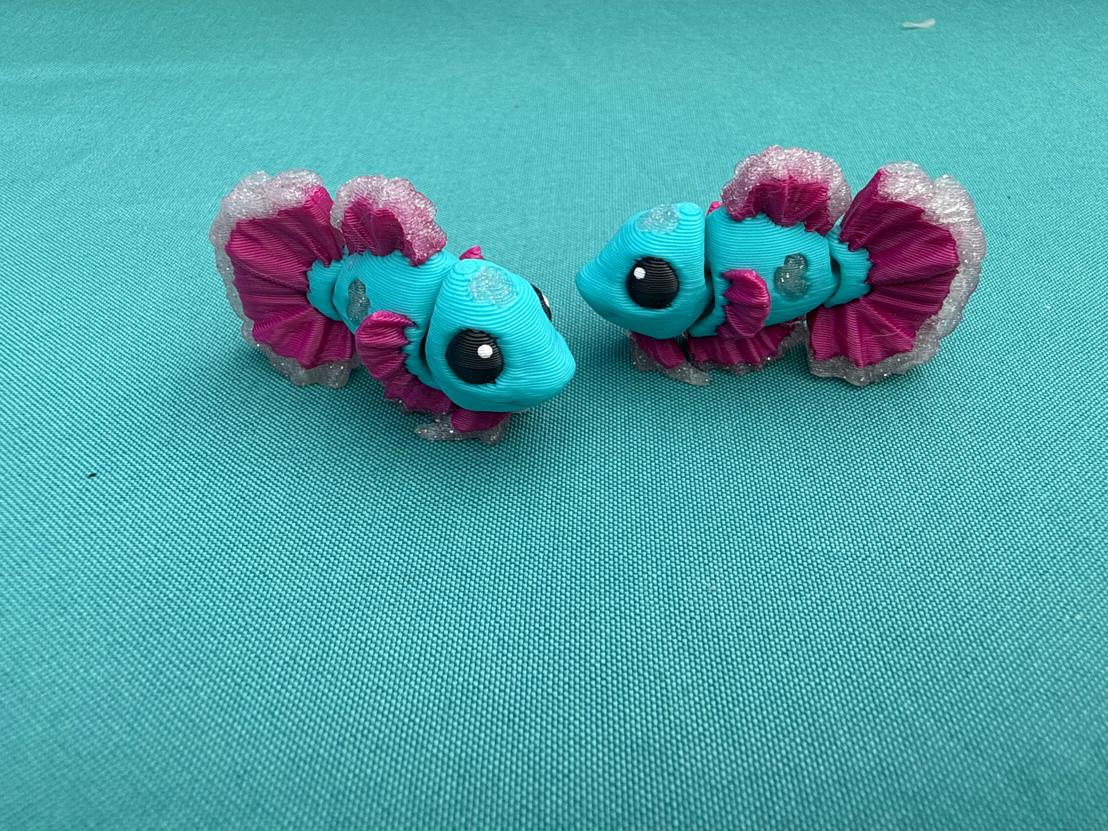 Betta Fish