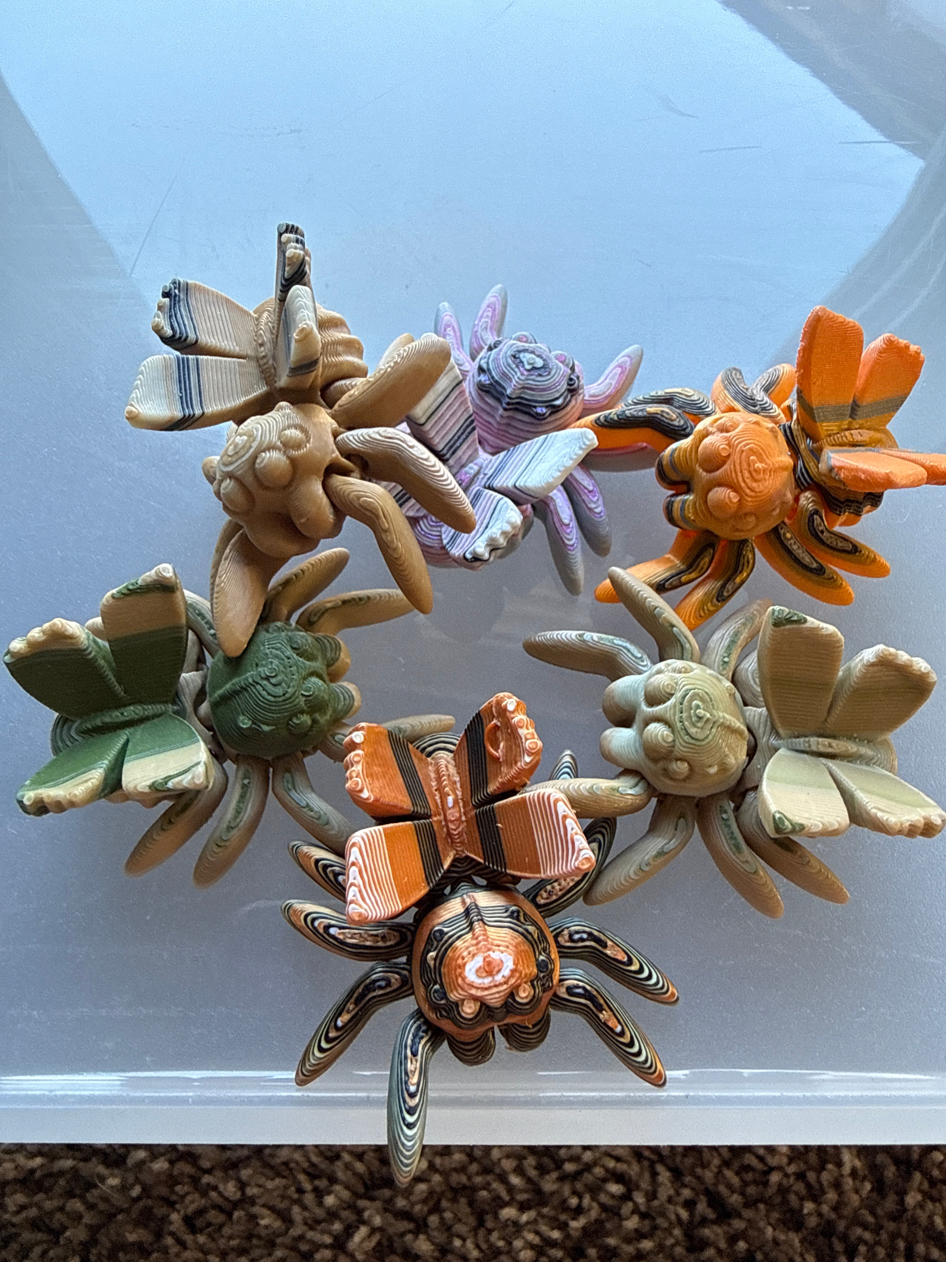 Butterfly Spiders
