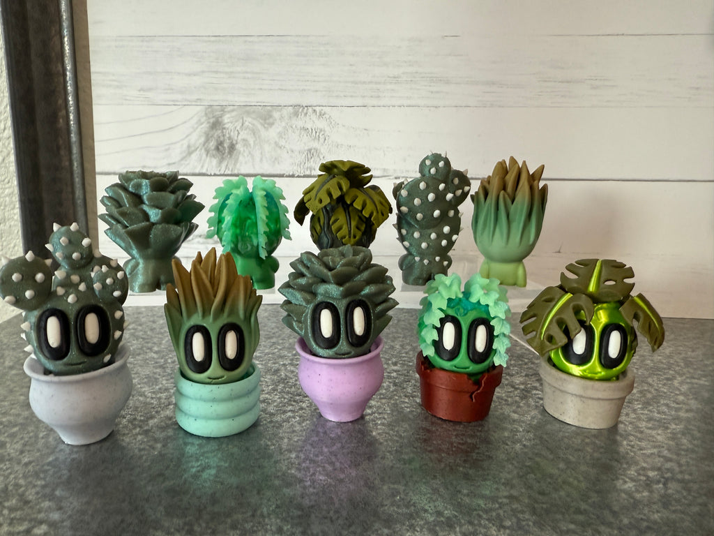Succulent MINI Flight (bunners too!)