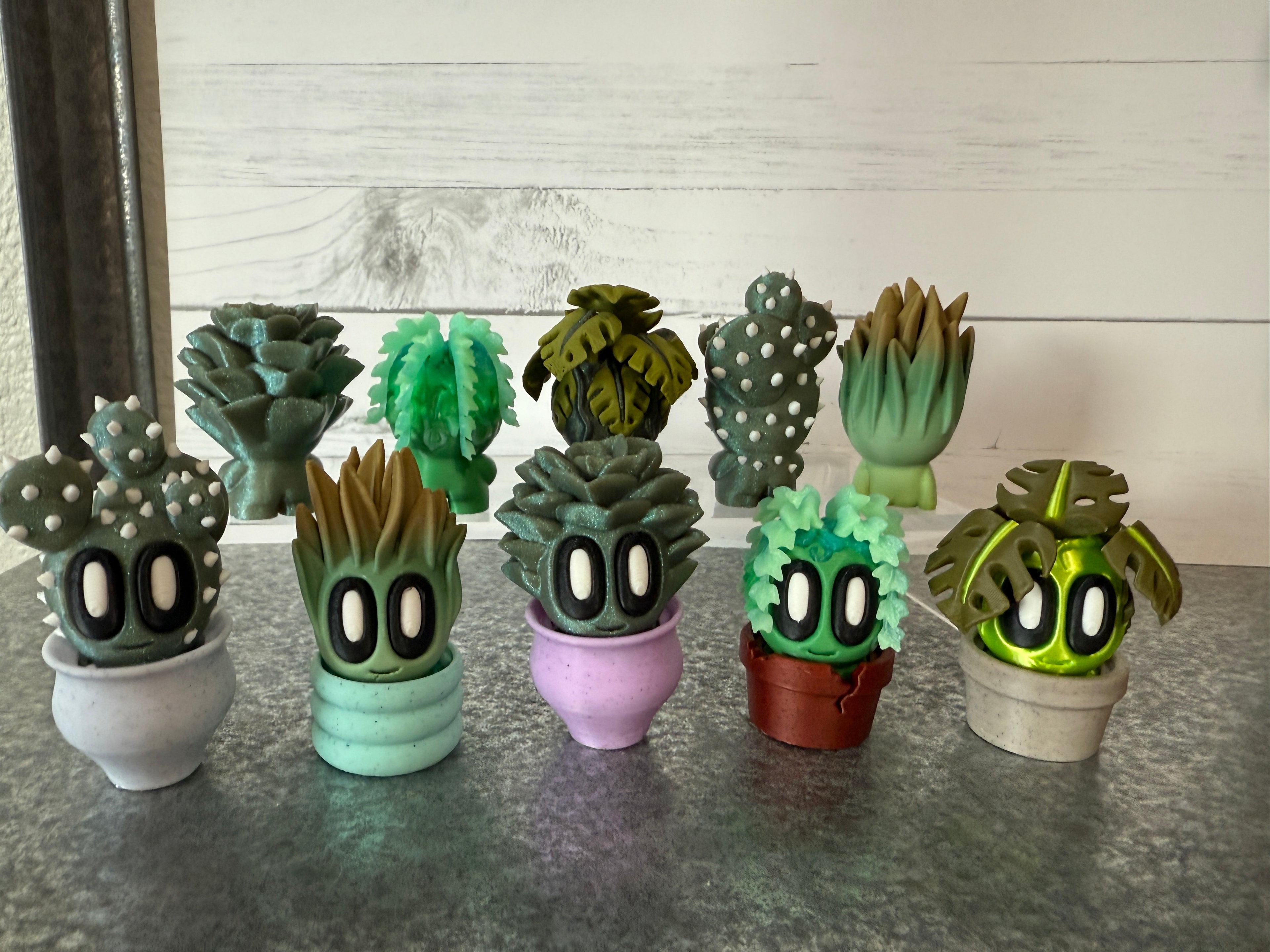 Succulent MINI Flight (bunners too!)