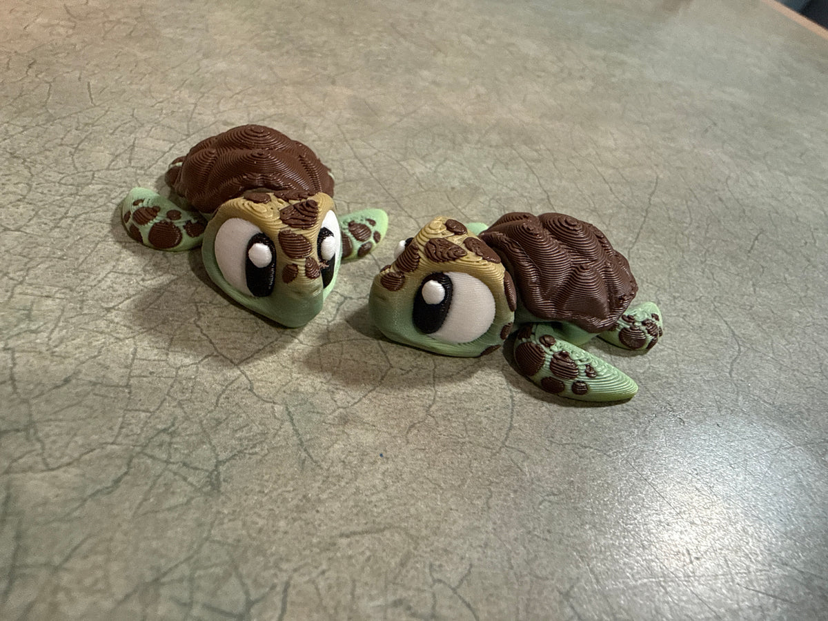 Sea Turtle