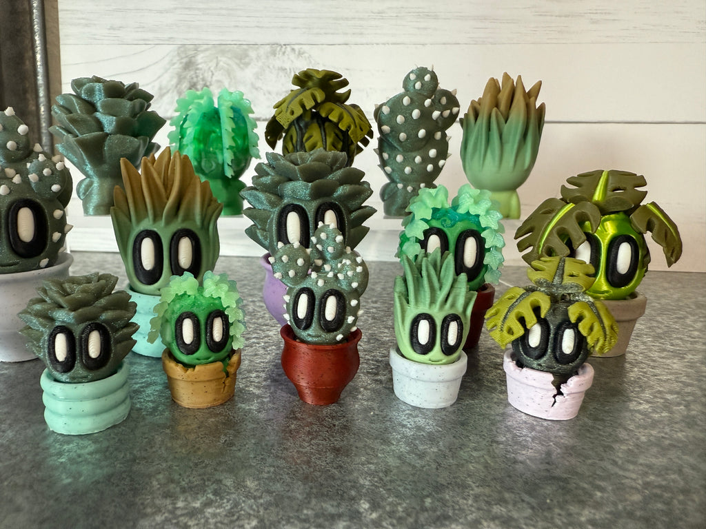 Succulent MINI Flight (bunners too!)