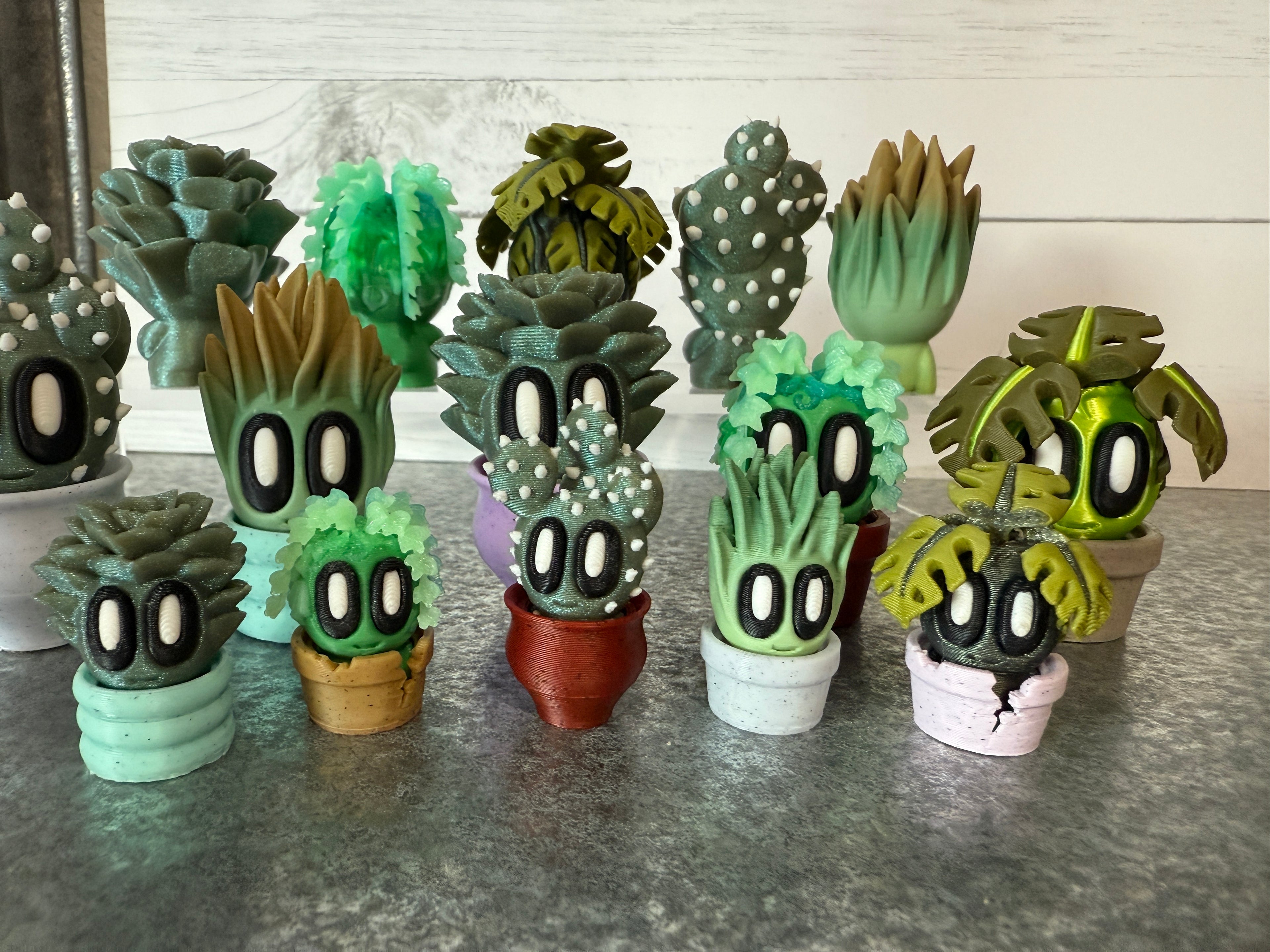 Succulent MINI Flight (bunners too!)