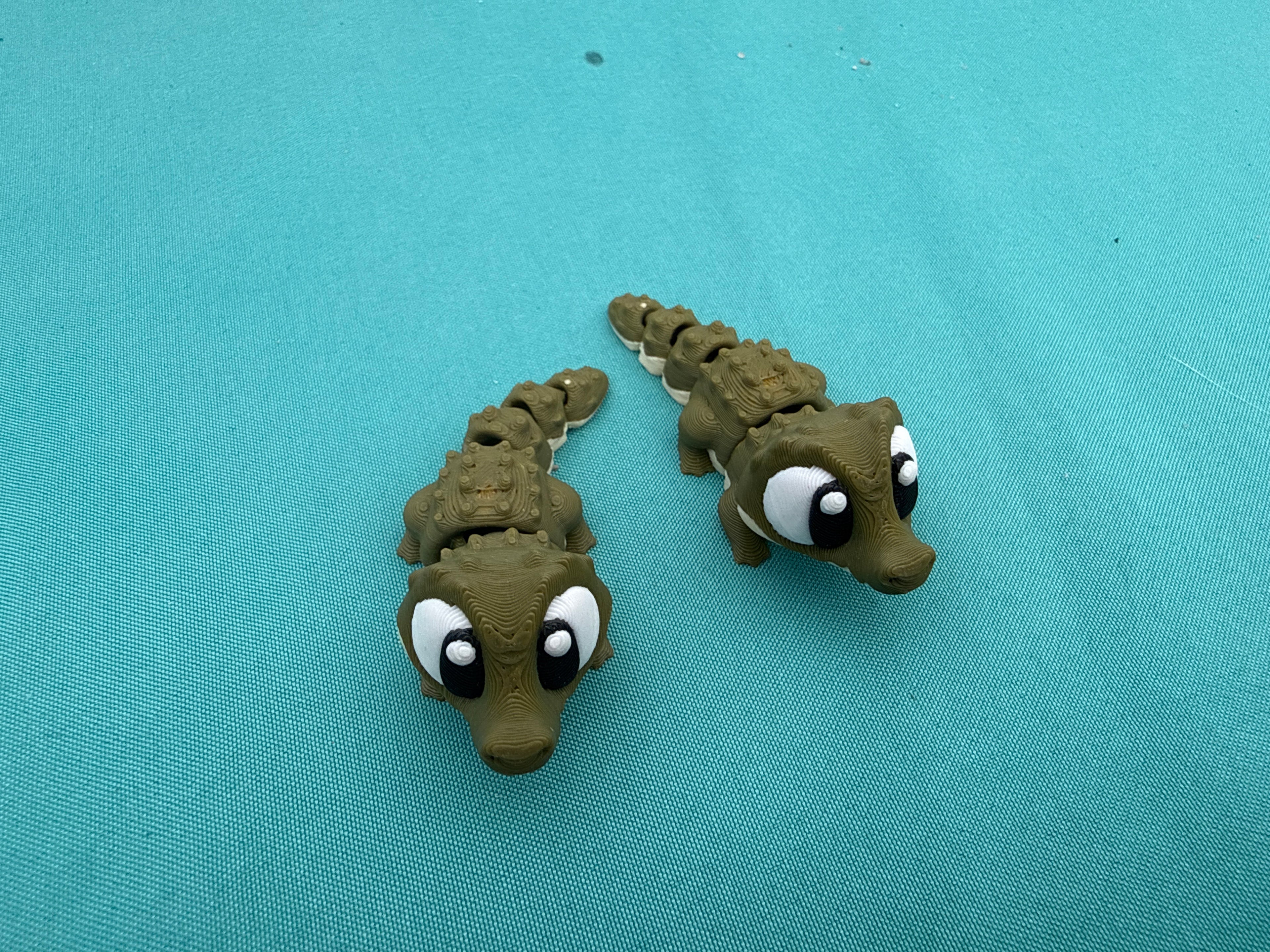 Alligator