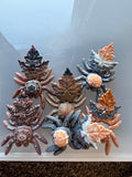 Autumn Spiders