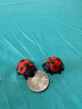 Ladybug