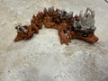 Autumn Dragon