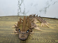 Void Dragon - Spike