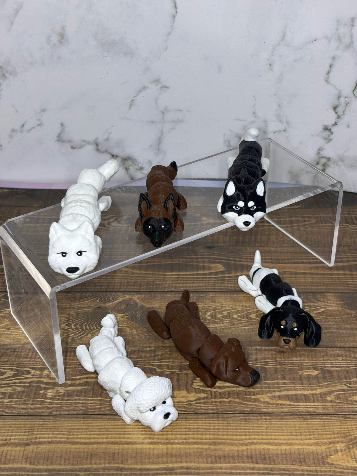 Dogs - Variety