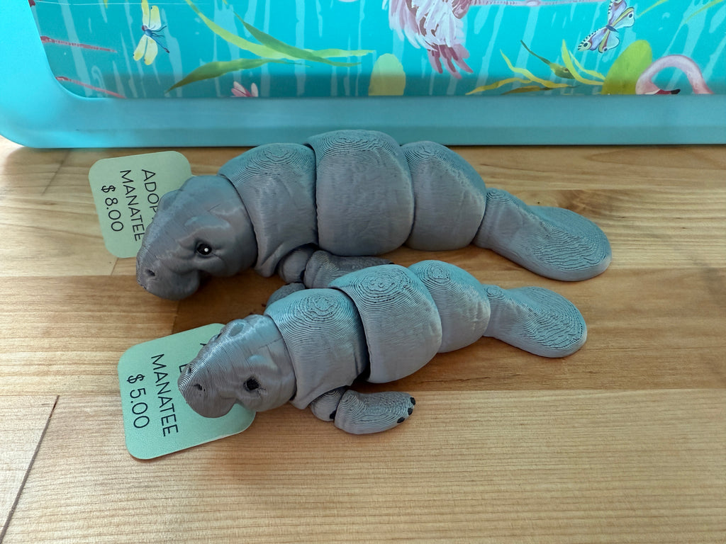 Adopt A Baby Manatee