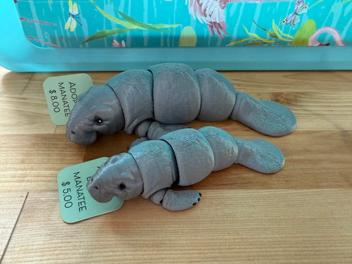 Adopt A Baby Manatee